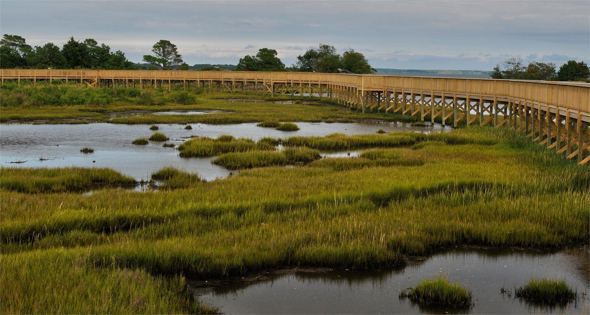 Secrets-Of-Virginia8217s-Assateague-Coastal-Marshes secrets-of-virginias-assateague-coastal-marshes