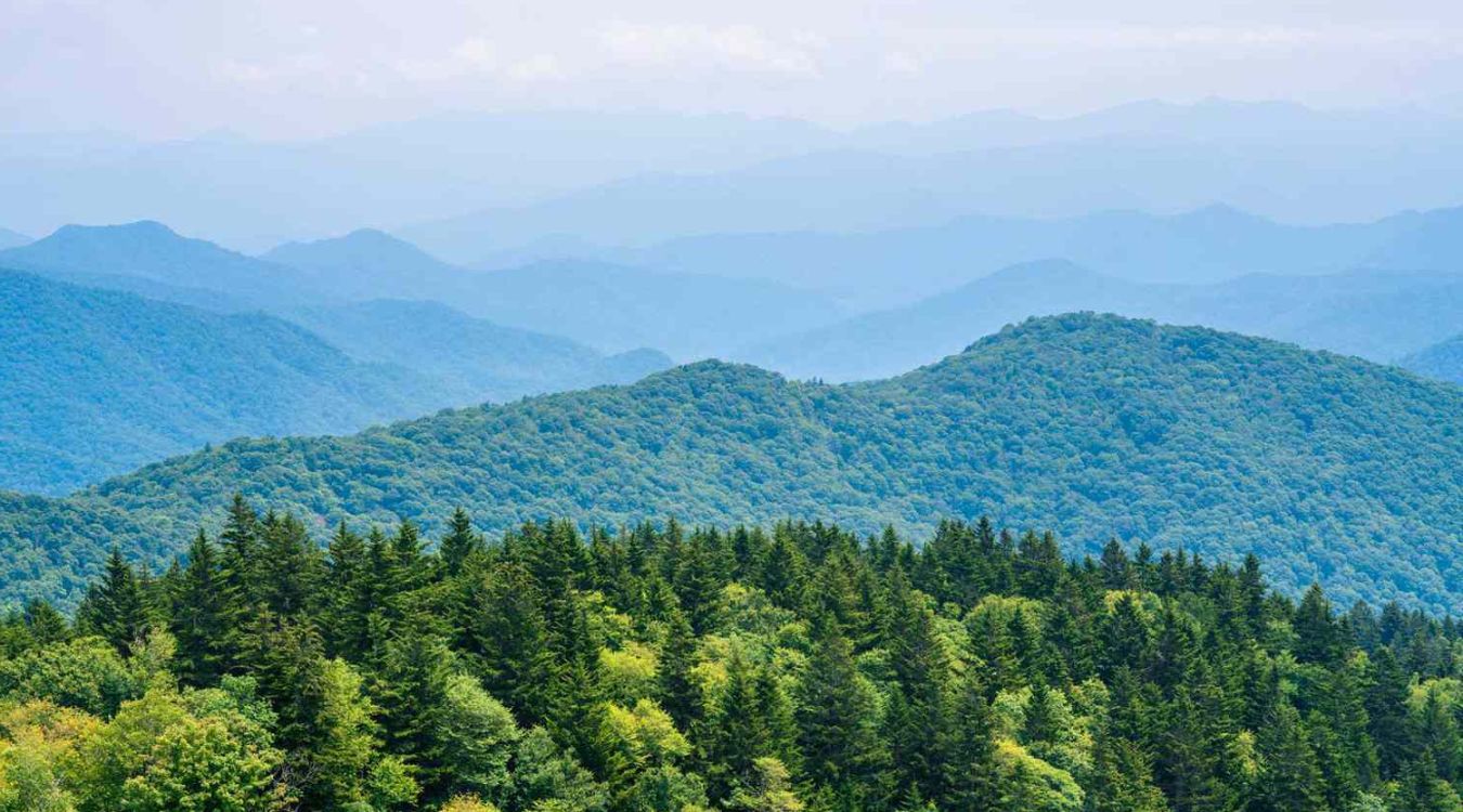 Secrets-Of-Virginia8217s-Blue-Ridge-Forest-Hollows secrets-of-virginias-blue-ridge-forest-hollows