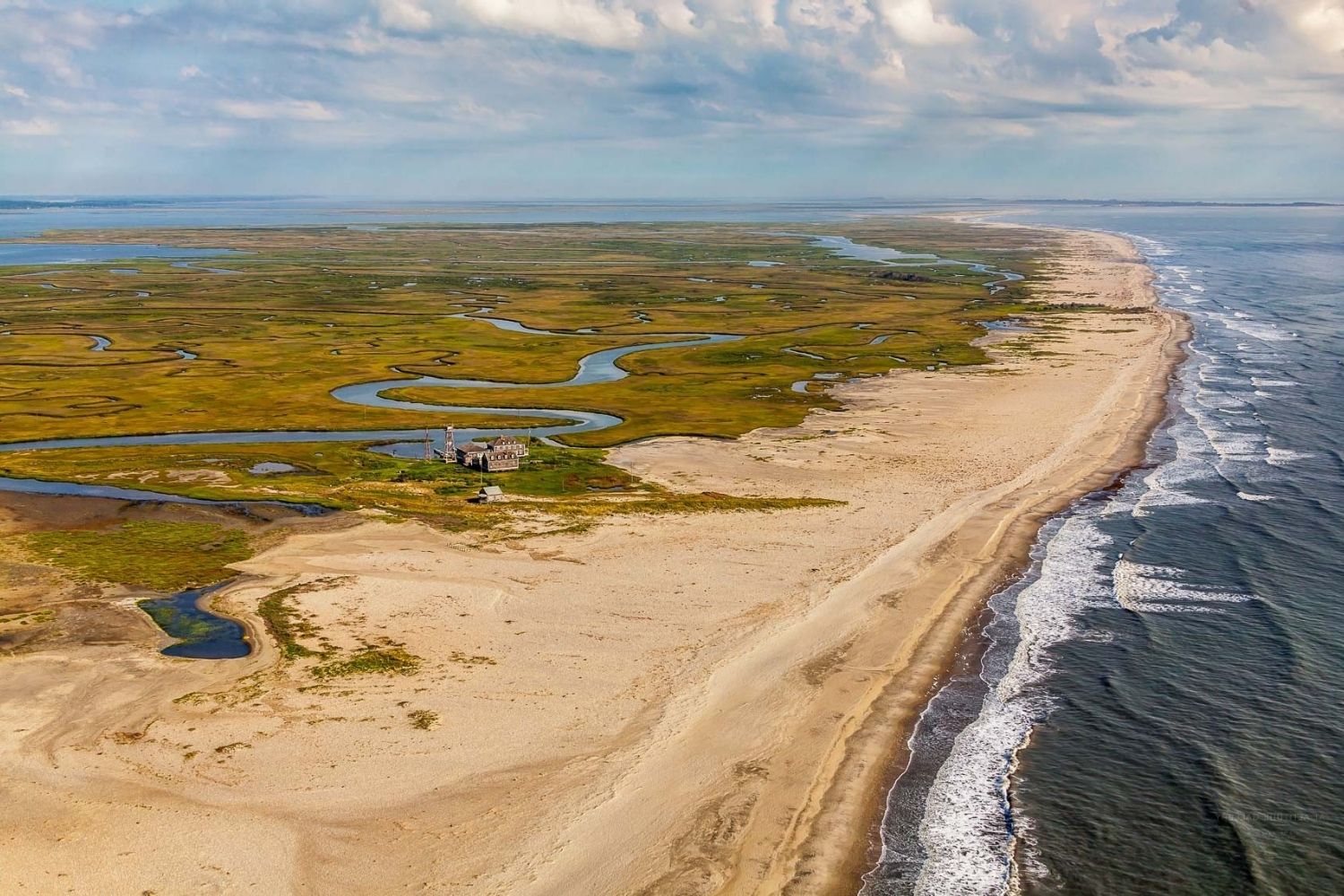 secrets-of-virginias-cedar-island-marshes