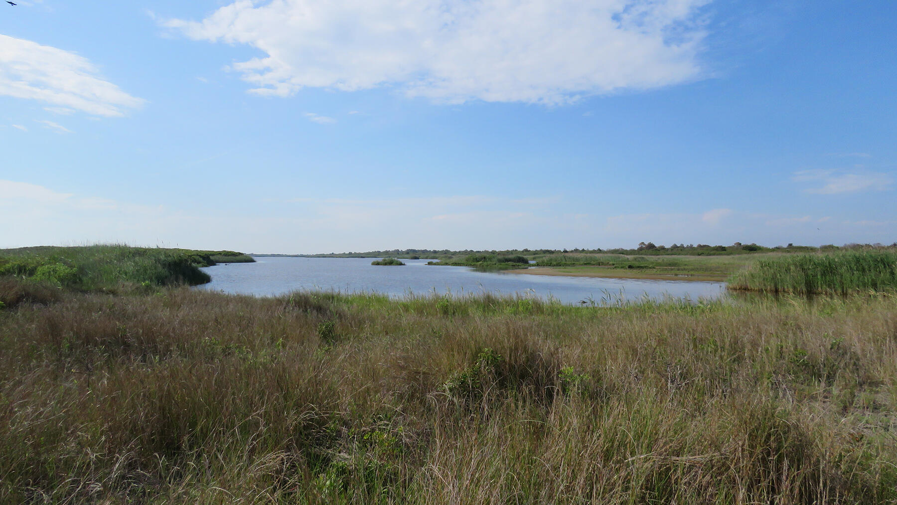 secrets-of-virginias-hog-island-marshes