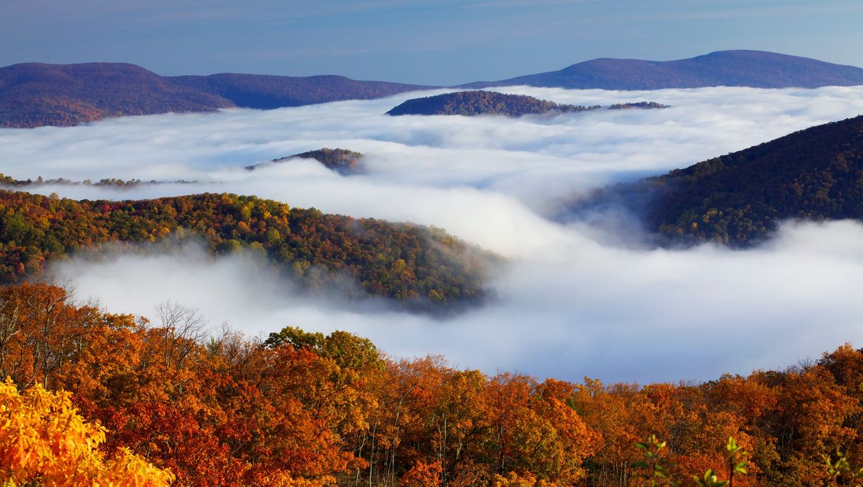 secrets-of-virginias-shenandoah-mountain-fog