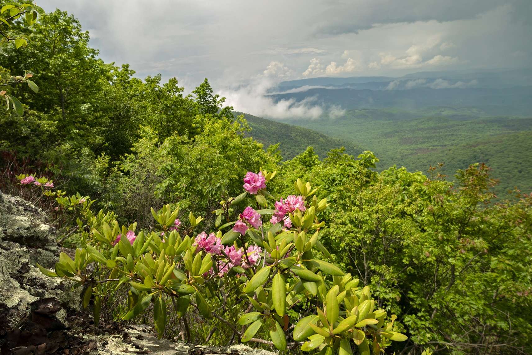 secrets-of-virginias-warm-springs-valley