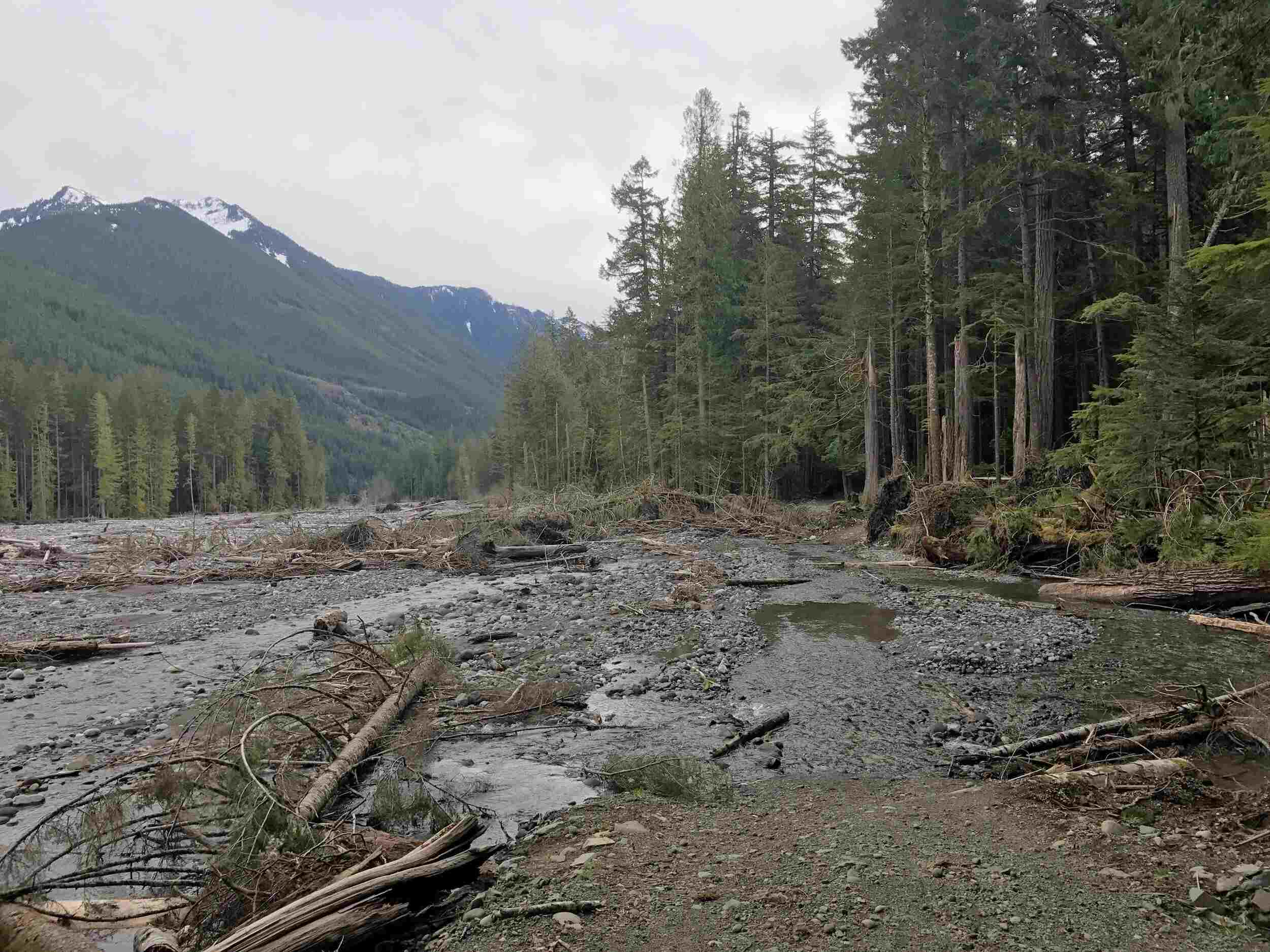 Secrets-Of-Washington8217s-Carbon-River-Railroads secrets-of-washingtons-carbon-river-railroads