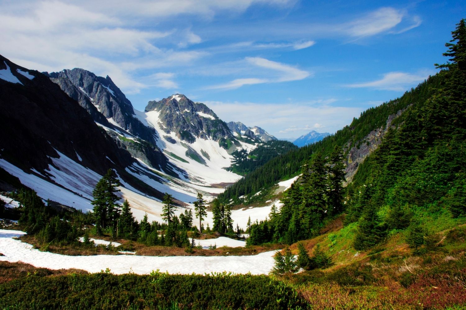 Secrets-Of-Washington8217s-Cascades-Forest-Valleys secrets-of-washingtons-cascades-forest-valleys
