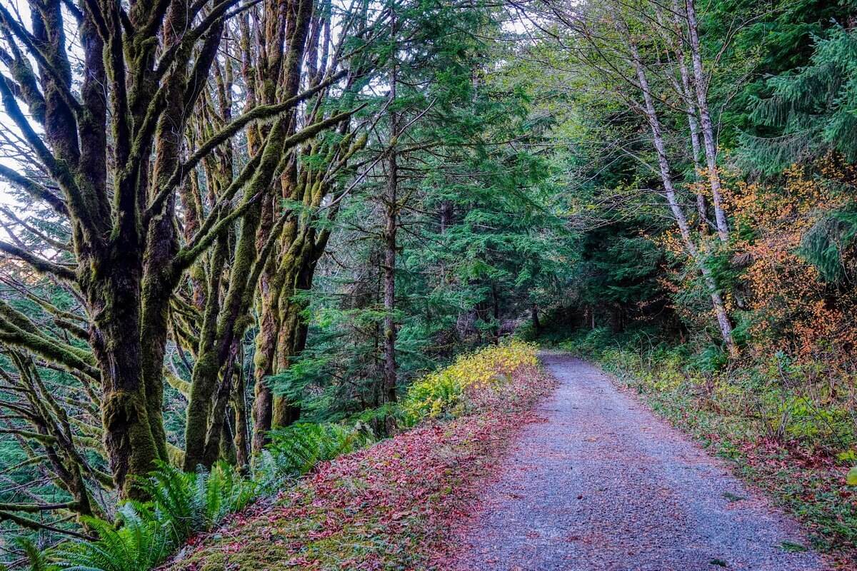 secrets-of-washingtons-iron-horse-trail-railroads