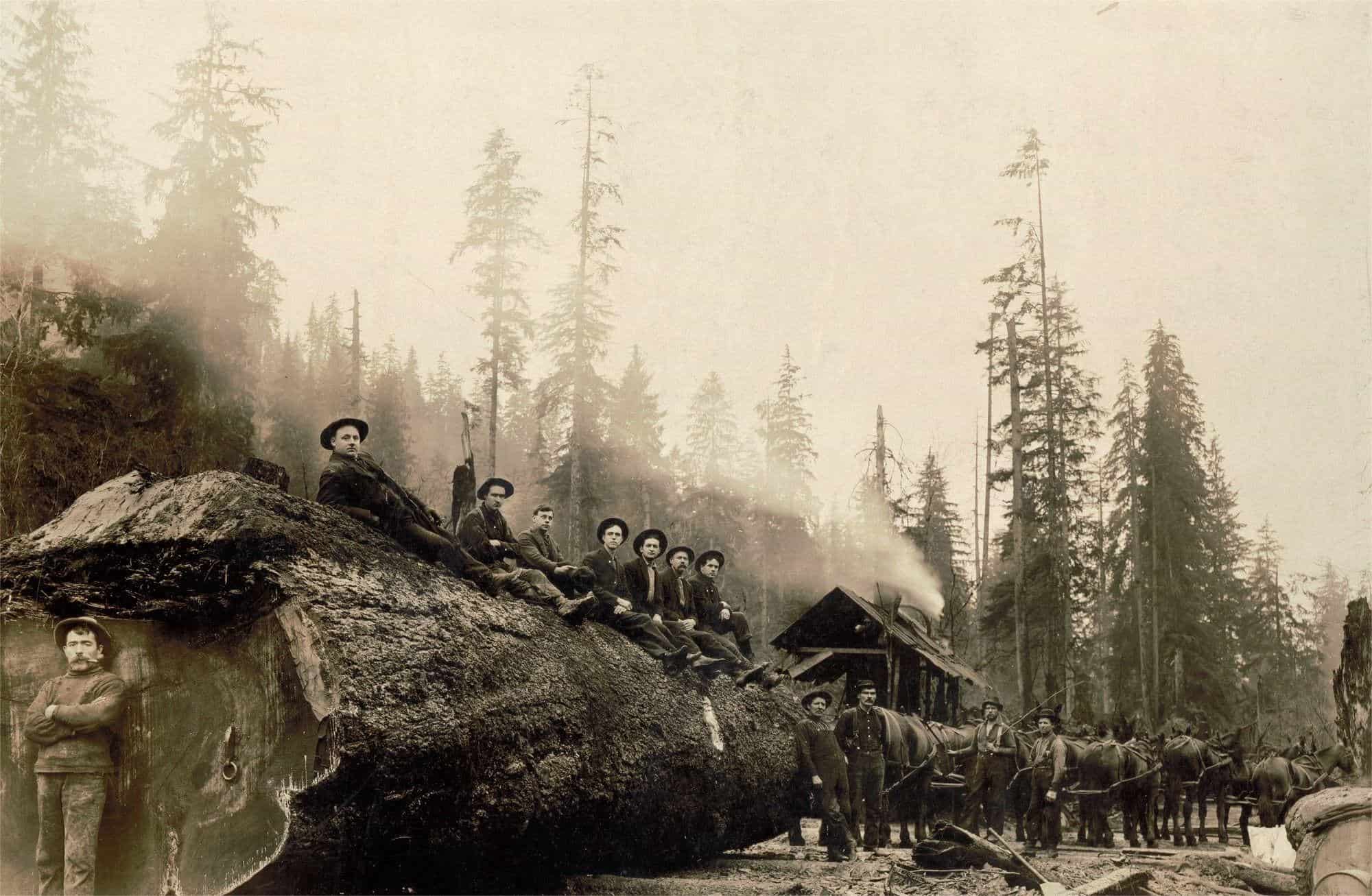 Secrets-Of-Washington8217s-Mount-Baker-Logging-Railroads secrets-of-washingtons-mount-baker-logging-railroads