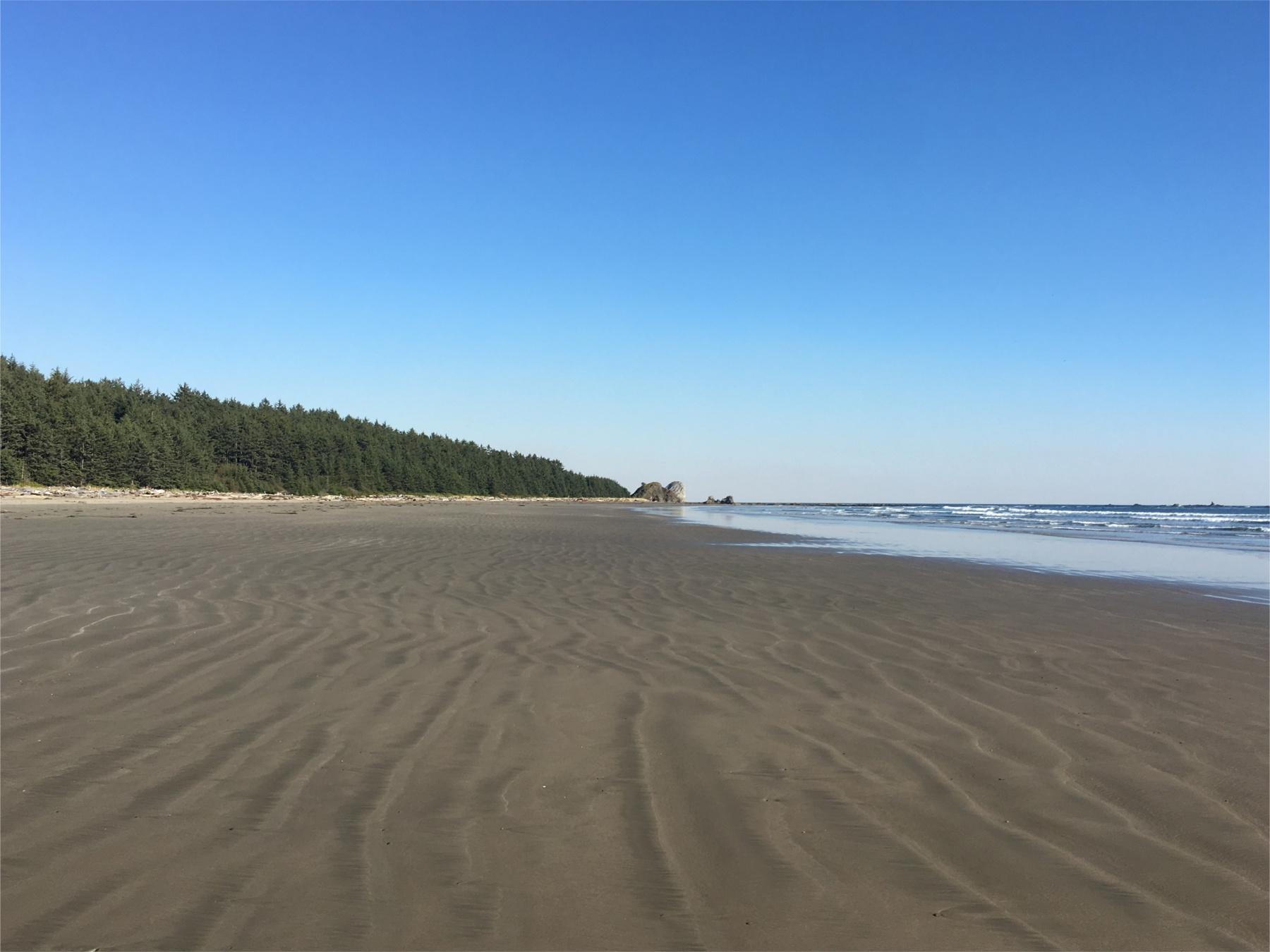 Secrets-Of-Washington8217s-Olympic-Coast-Inlets secrets-of-washingtons-olympic-coast-inlets