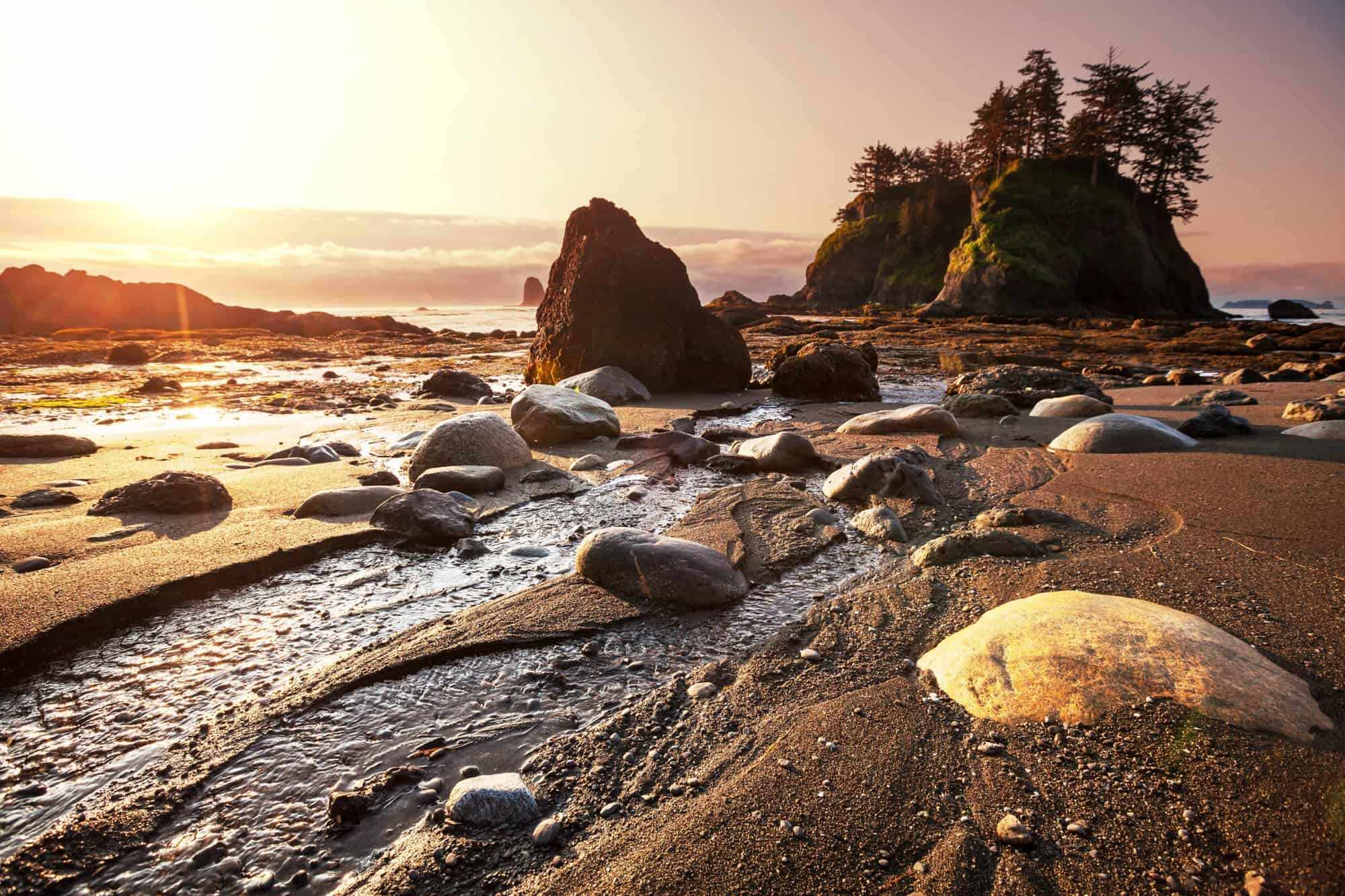 Secrets-Of-Washington8217s-Olympic-Peninsula-Tide-Pools secrets-of-washingtons-olympic-peninsula-tide-pools