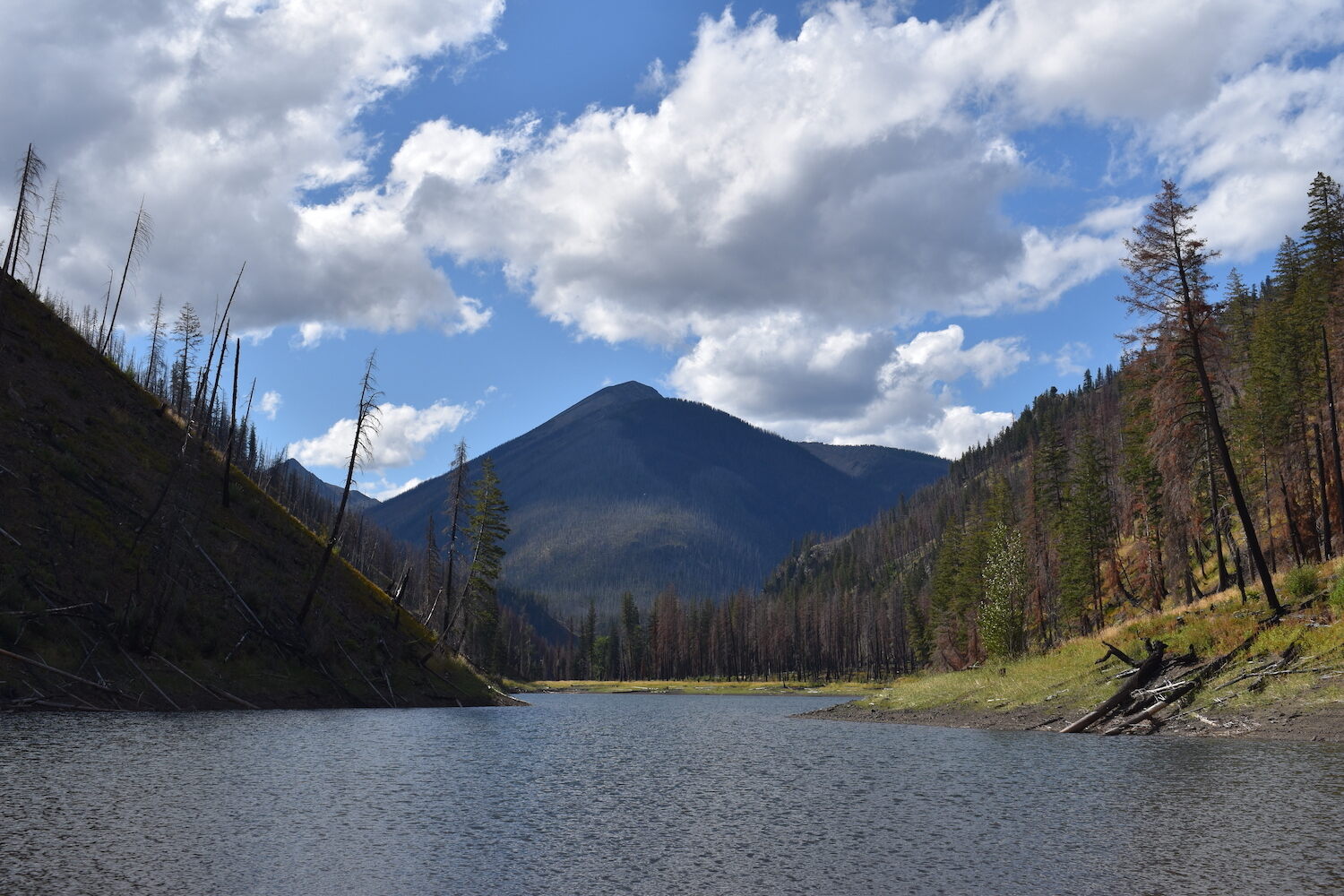 secrets-of-washingtons-pasayten-wilderness-groves