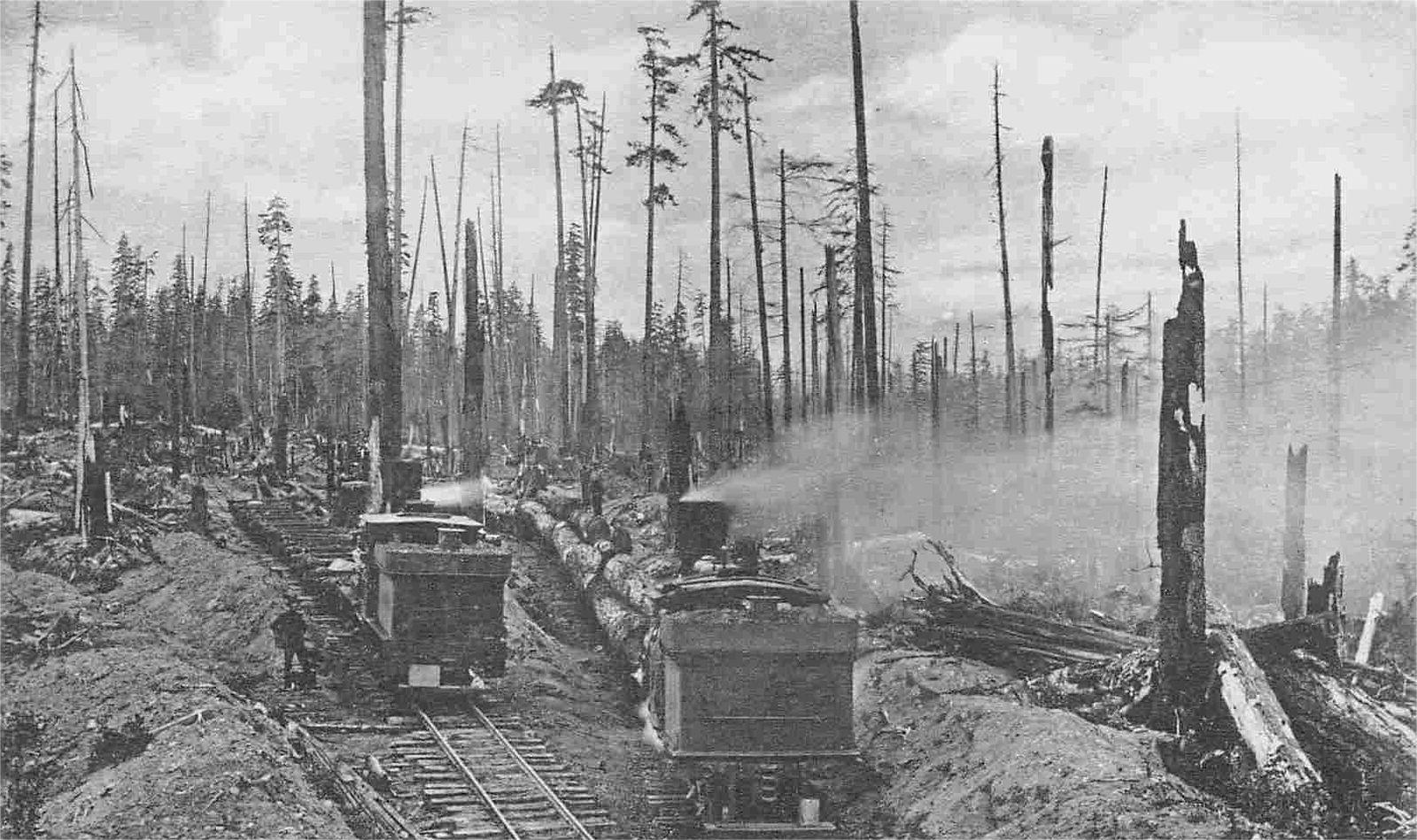 Secrets-Of-Washington8217s-Wellington-Logging-Railroads secrets-of-washingtons-wellington-logging-railroads