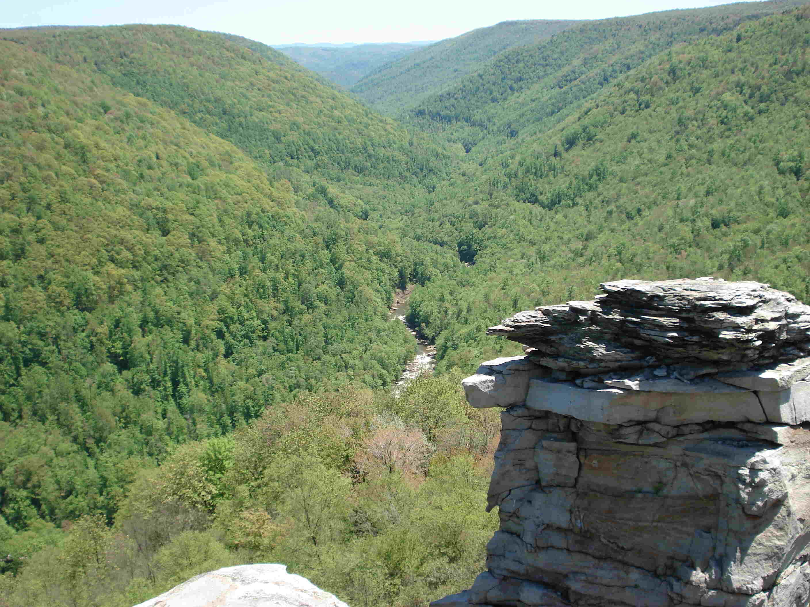 Secrets-Of-West-Virginia8217s-Blackwater-Canyon-Gorges secrets-of-west-virginias-blackwater-canyon-gorges
