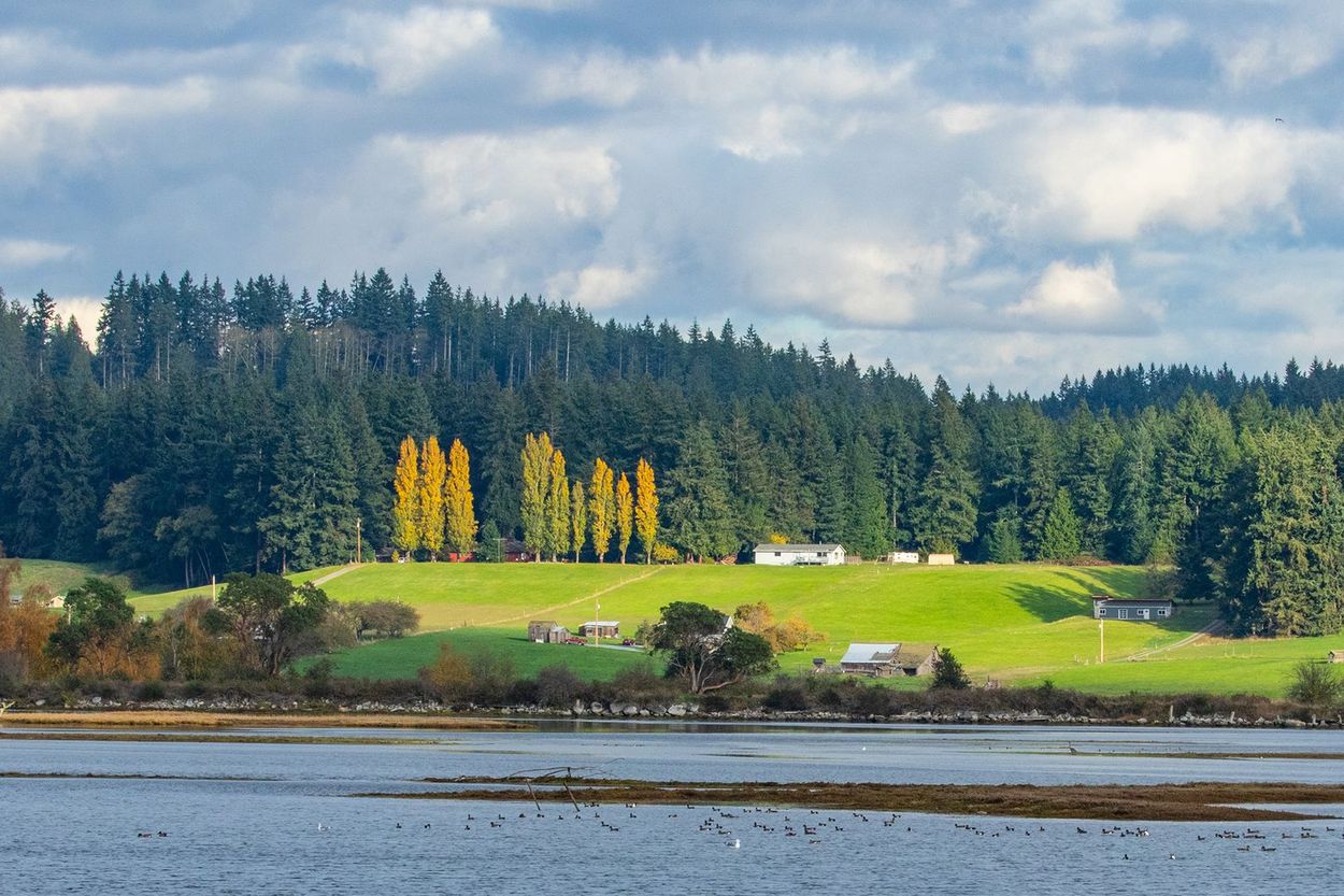 secrets-of-whidbey-islands-coastal-farming-communities