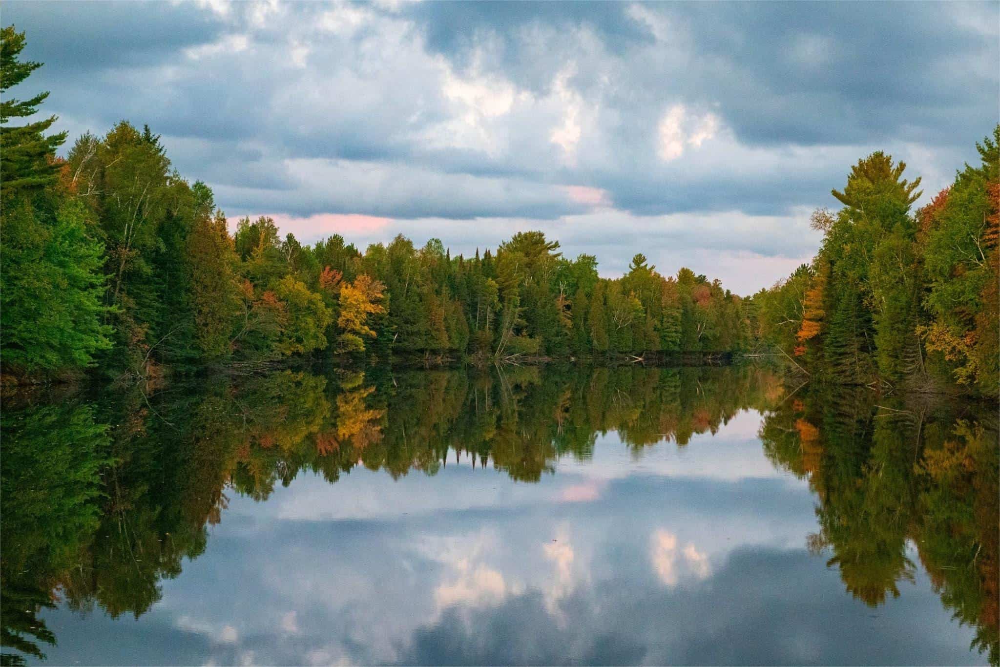 secrets-of-wisconsins-northwoods-meadows