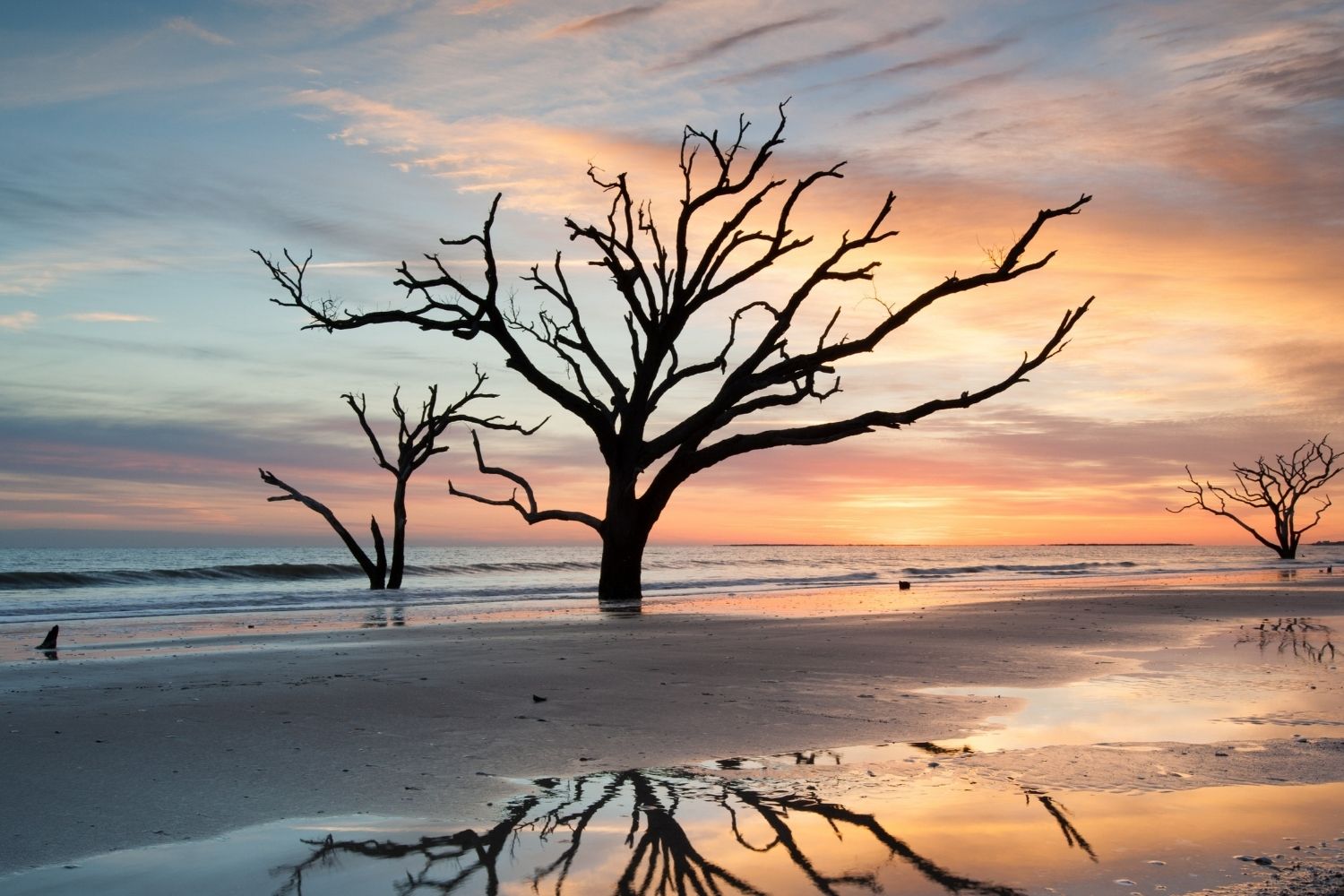 south-carolinas-secret-maritime-forests-and-beach-hammocks