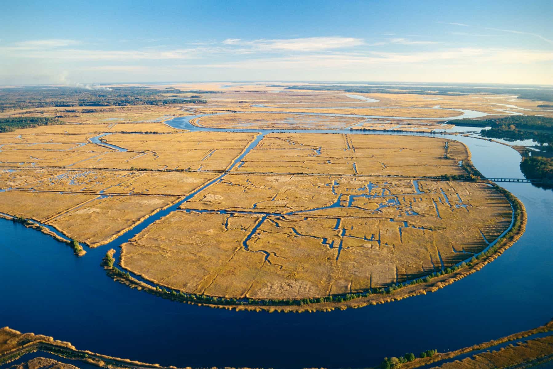 south-carolinas-secret-rice-plantations-and-waterways