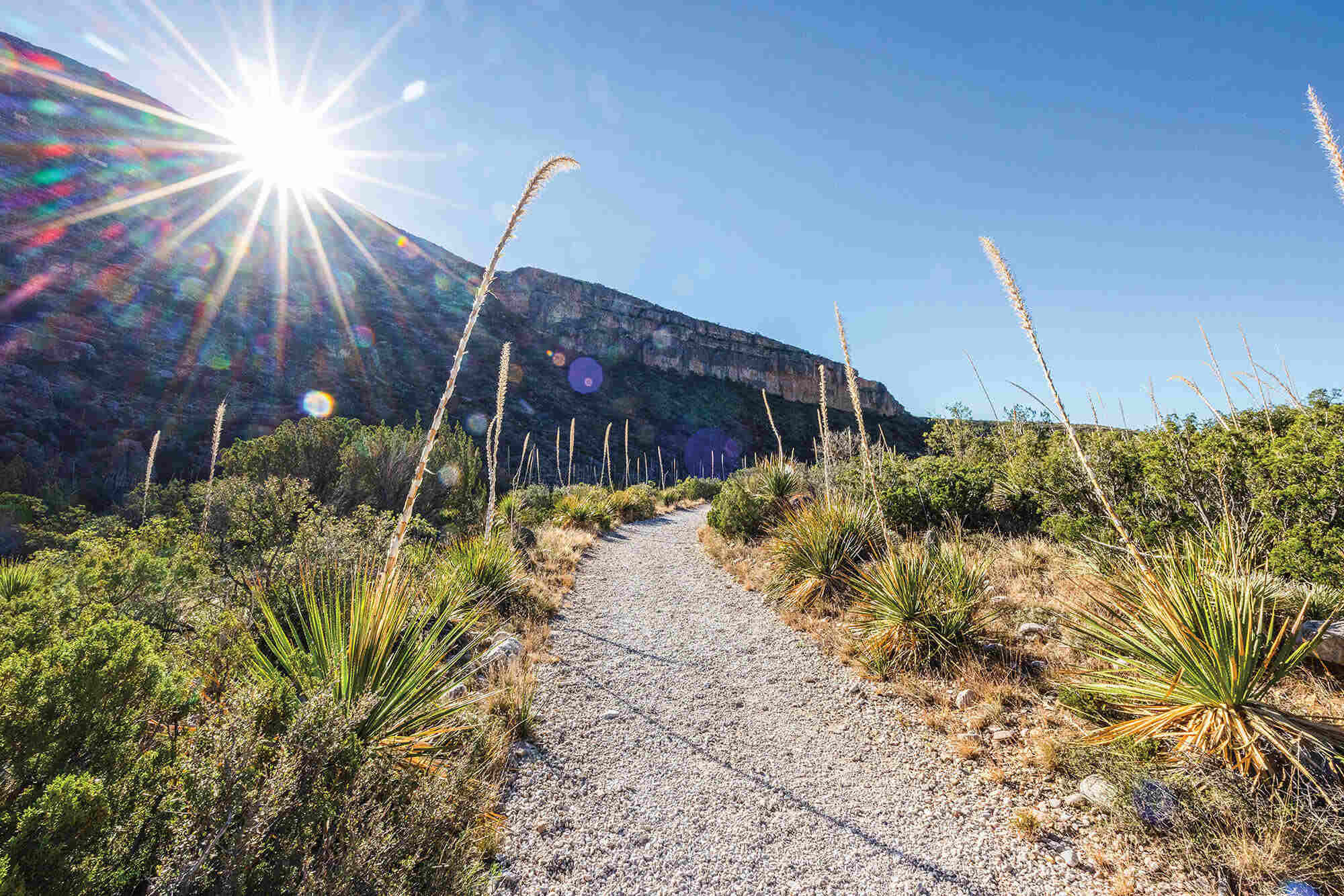 texass-secret-desert-mountains-and-canyon-trails
