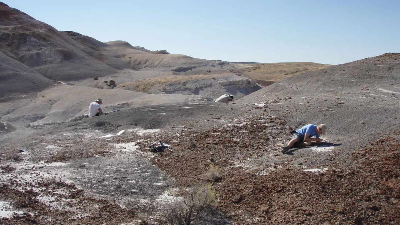 wyomings-hidden-fossil-beds-and-geological-secrets