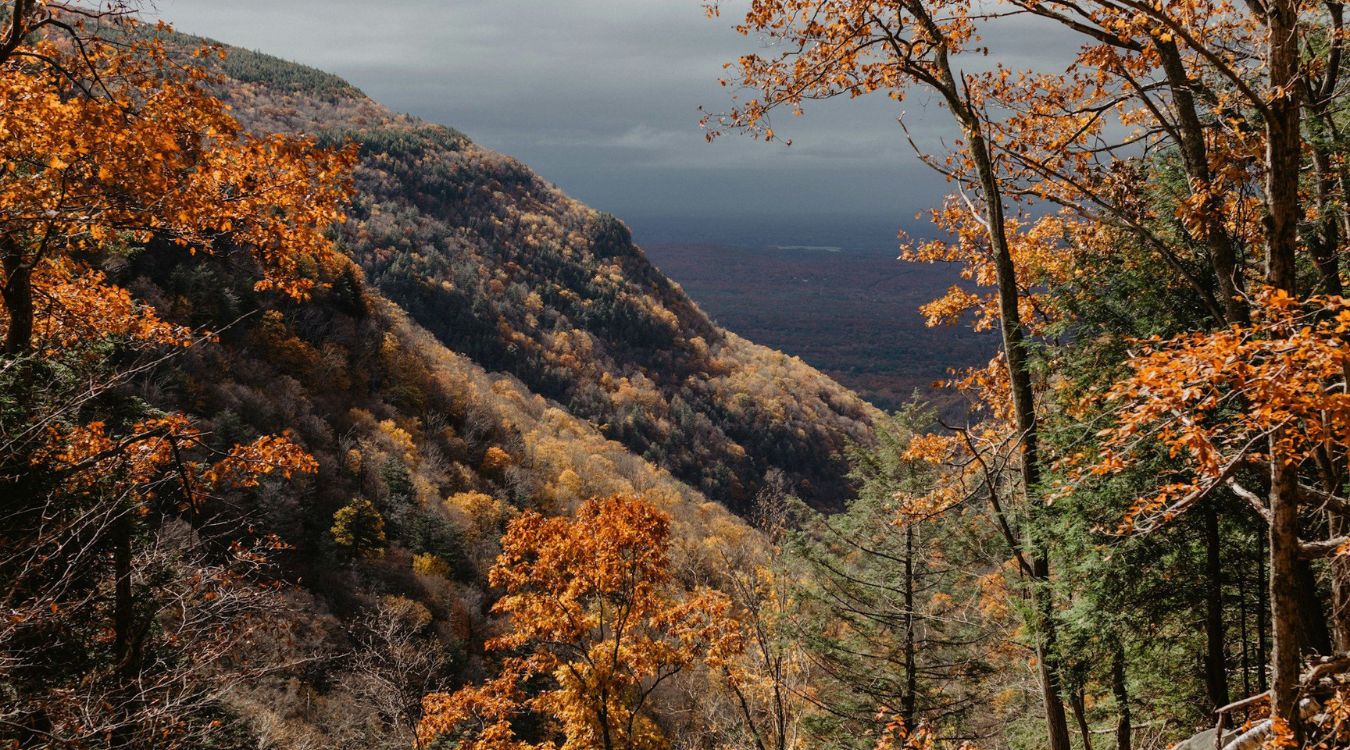 Autumn-Hillsides-Of-New-York8217s-Catskills-Hold-Secrets autumn-hillsides-of-new-yorks-catskills-hold-secrets