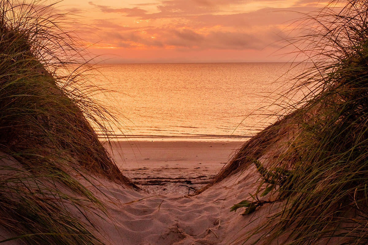 Cape-Cod8217s-Hidden-Dune-Secrets cape-cods-hidden-dune-secrets