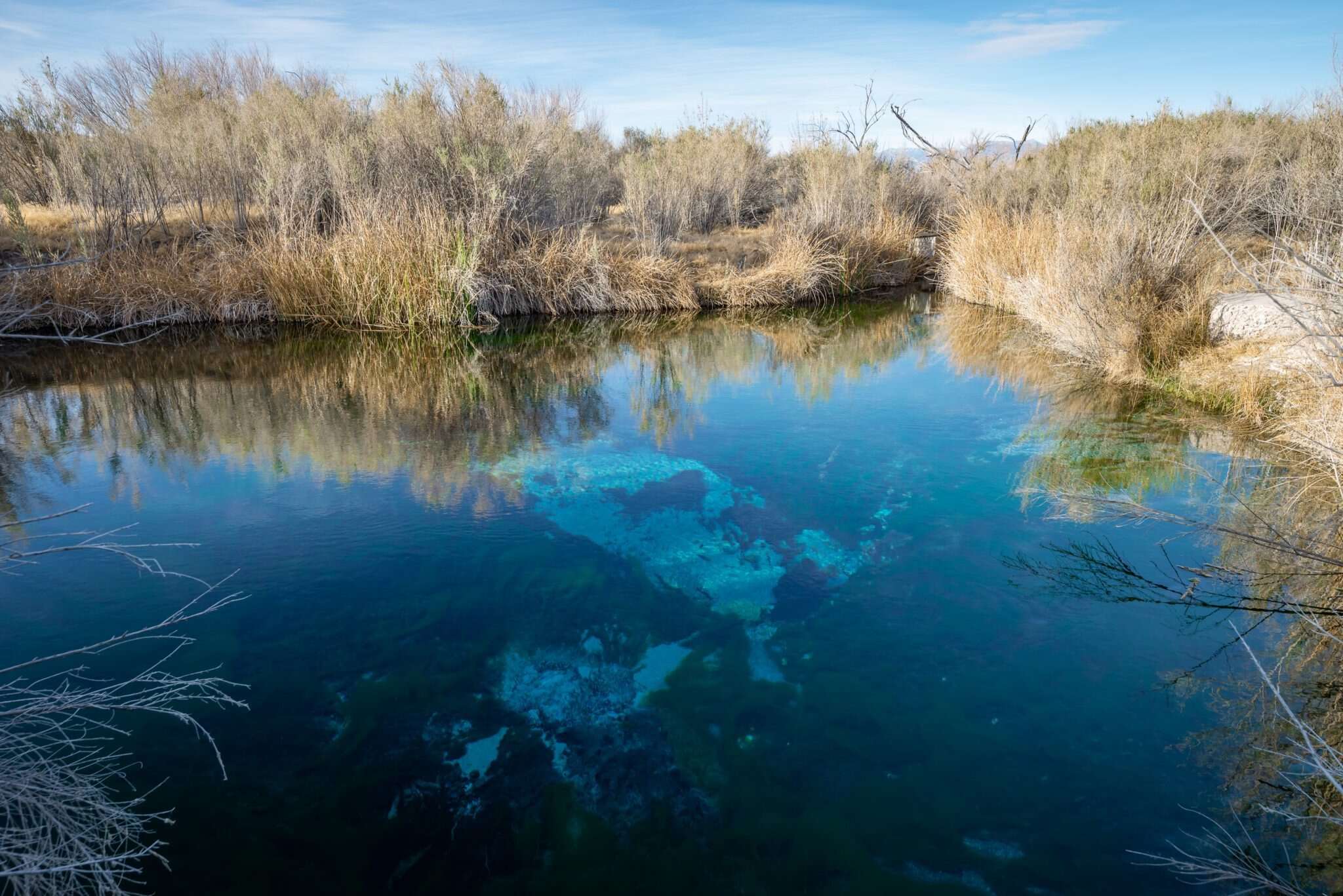 Cobalt-Springs-Hidden-In-Nevada8217s-Ash-Meadows cobalt-springs-hidden-in-nevadas-ash-meadows