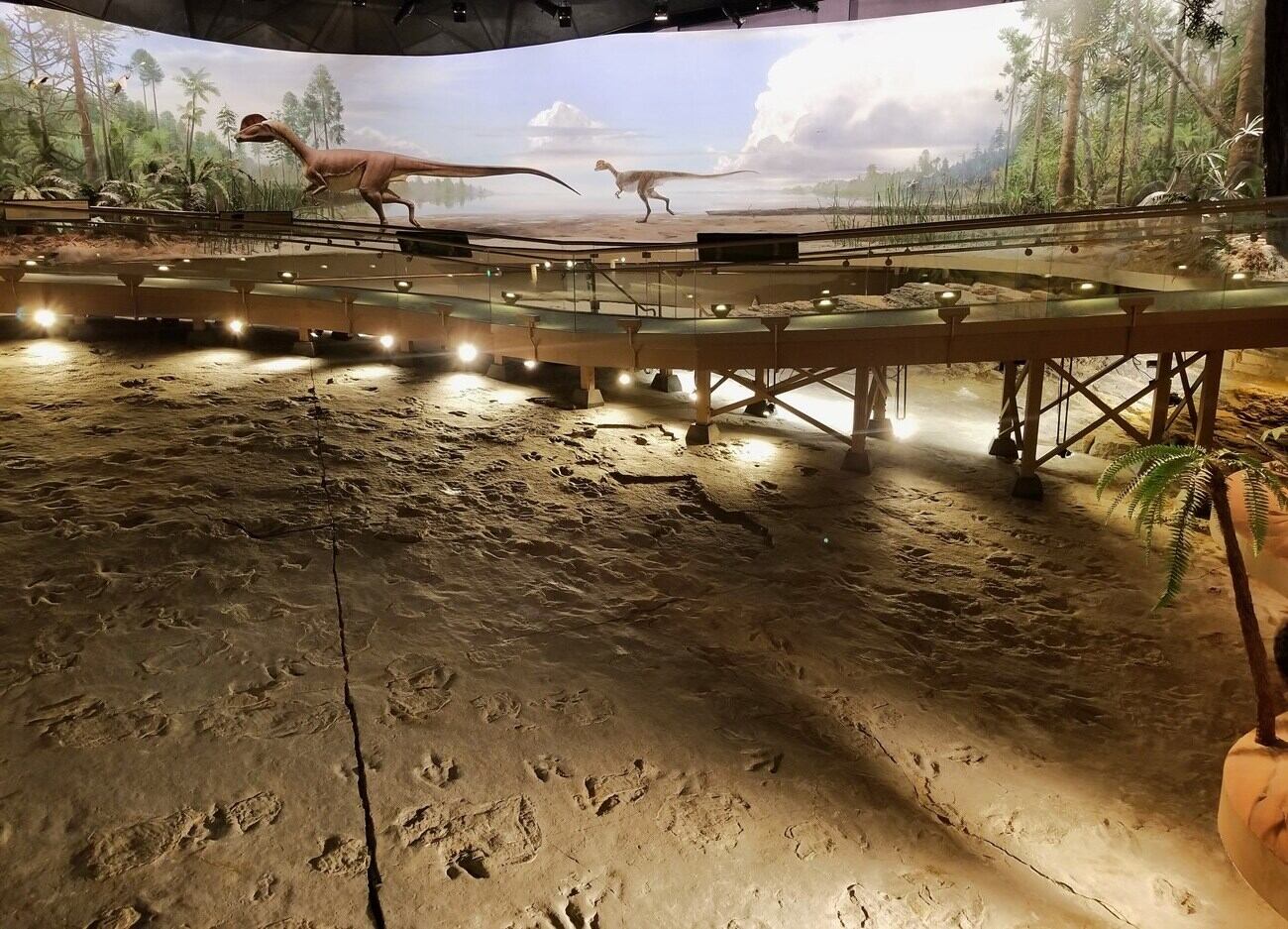 connecticuts-dinosaur-state-park-hidden-fossil-tracks