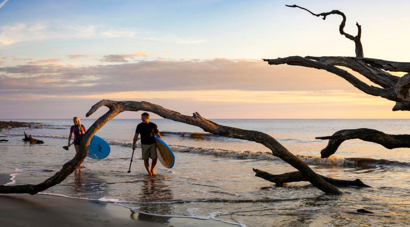 Curious-Finds-At-Jekyll-Island8217s-Driftwood-Beach curious-finds-at-jekyll-islands-driftwood-beach