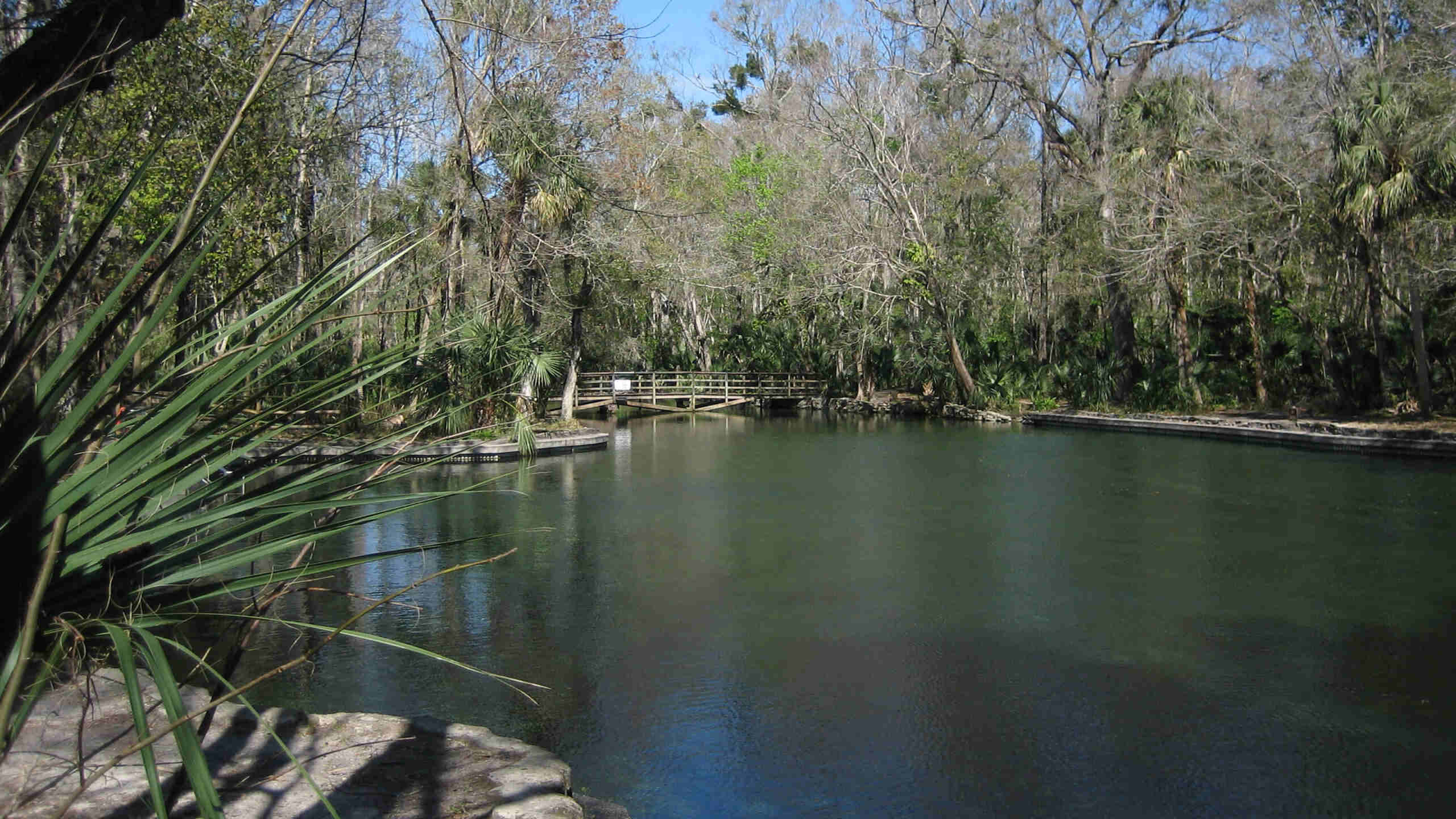 curious-finds-at-wekiwa-springs-hidden-creek