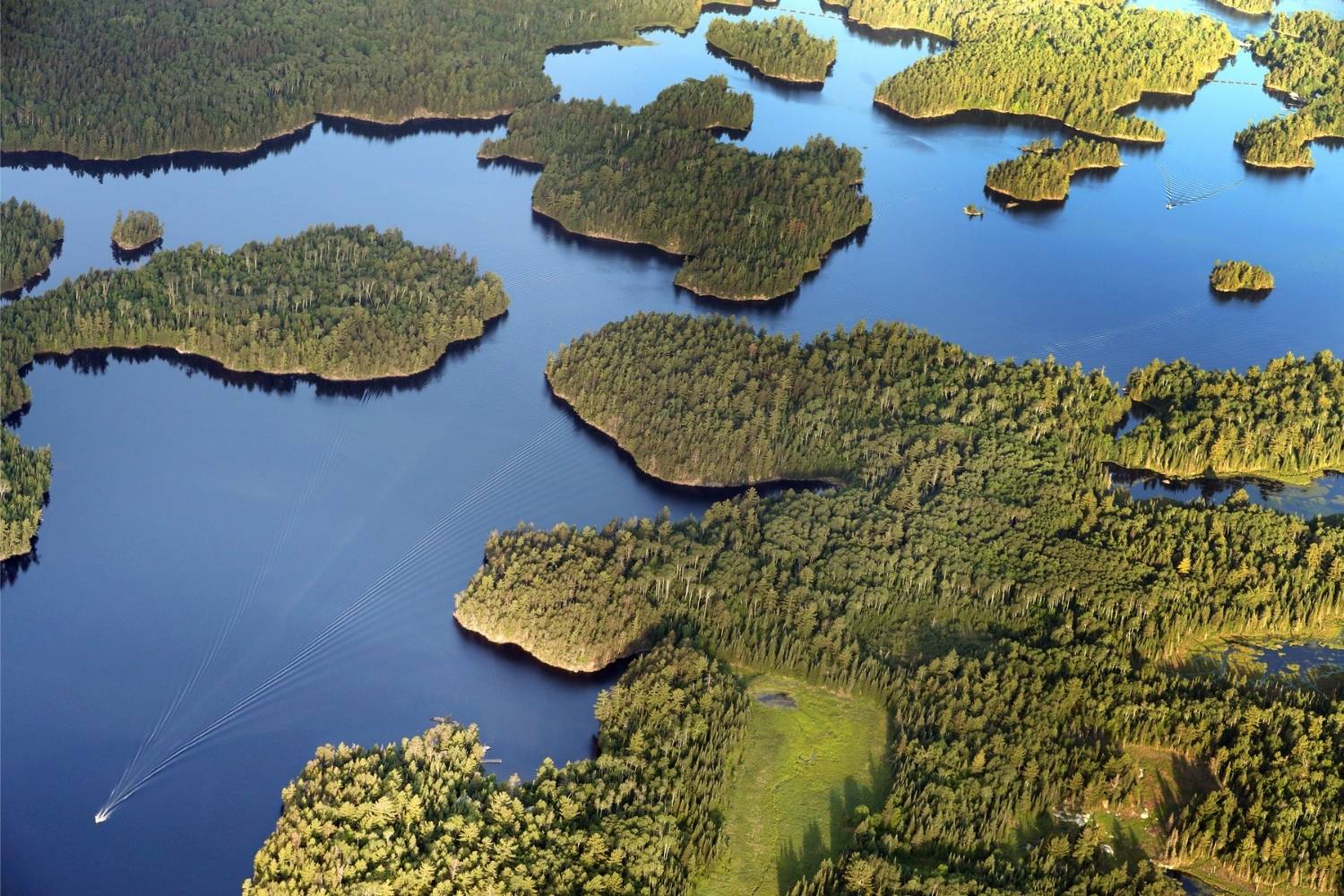 floating-mat-islands-of-minnesotas-voyageurs-revealed