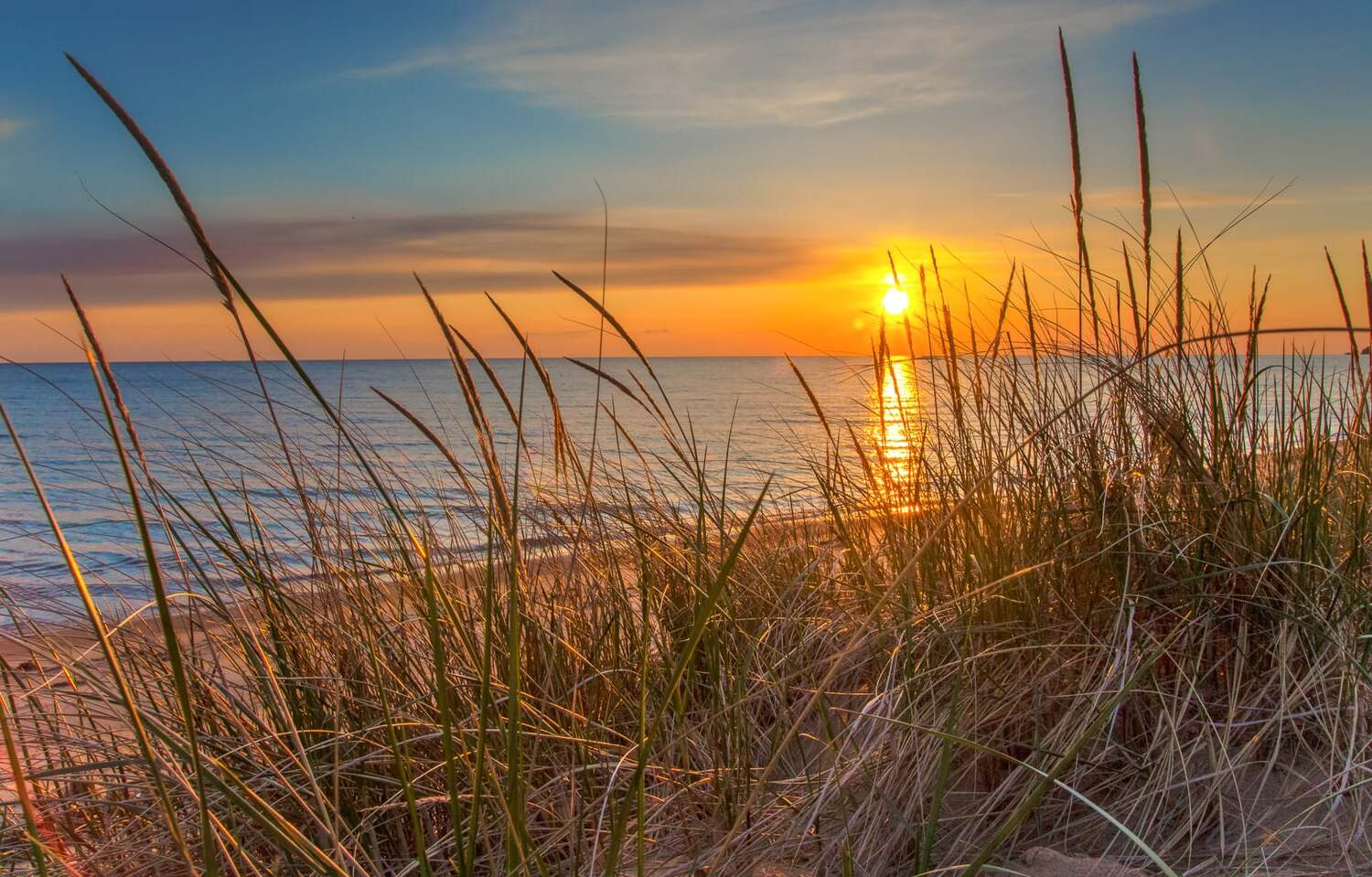 floridas-coastal-dune-lakes-and-their-hidden-ecosystems