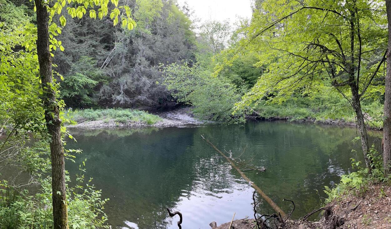 Hidden-Amber-Lit-Forest-Swimming-Holes-In-Pennsylvania8217s-Lehigh-Gorge hidden-amber-lit-forest-swimming-holes-in-pennsylvanias-lehigh-gorge