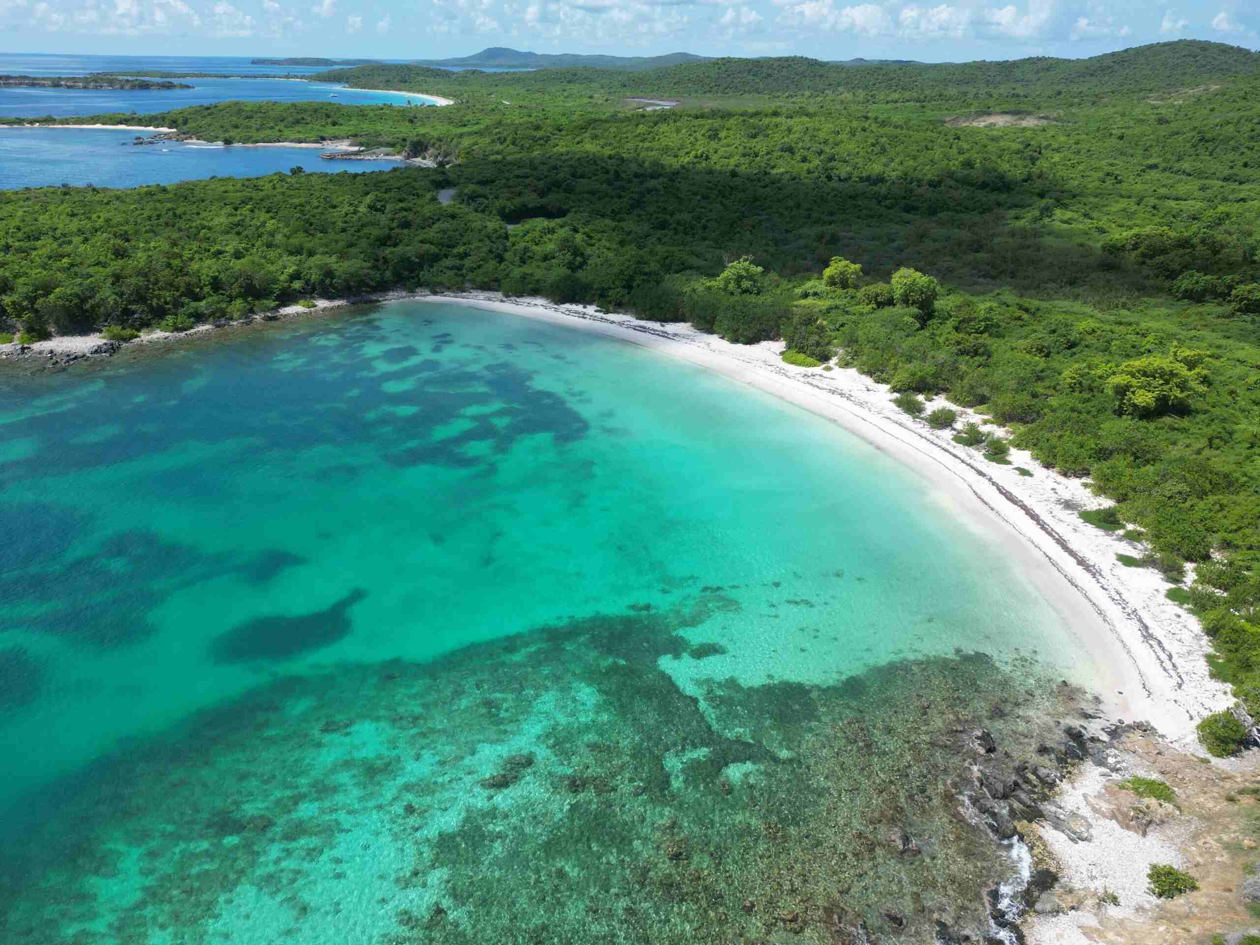 hidden-beach-lagoons-of-vieques-puerto-rico