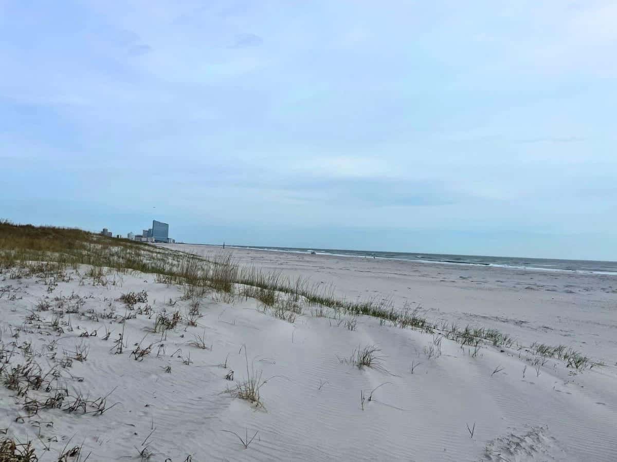 hidden-bird-sanctuaries-of-new-jerseys-brigantine