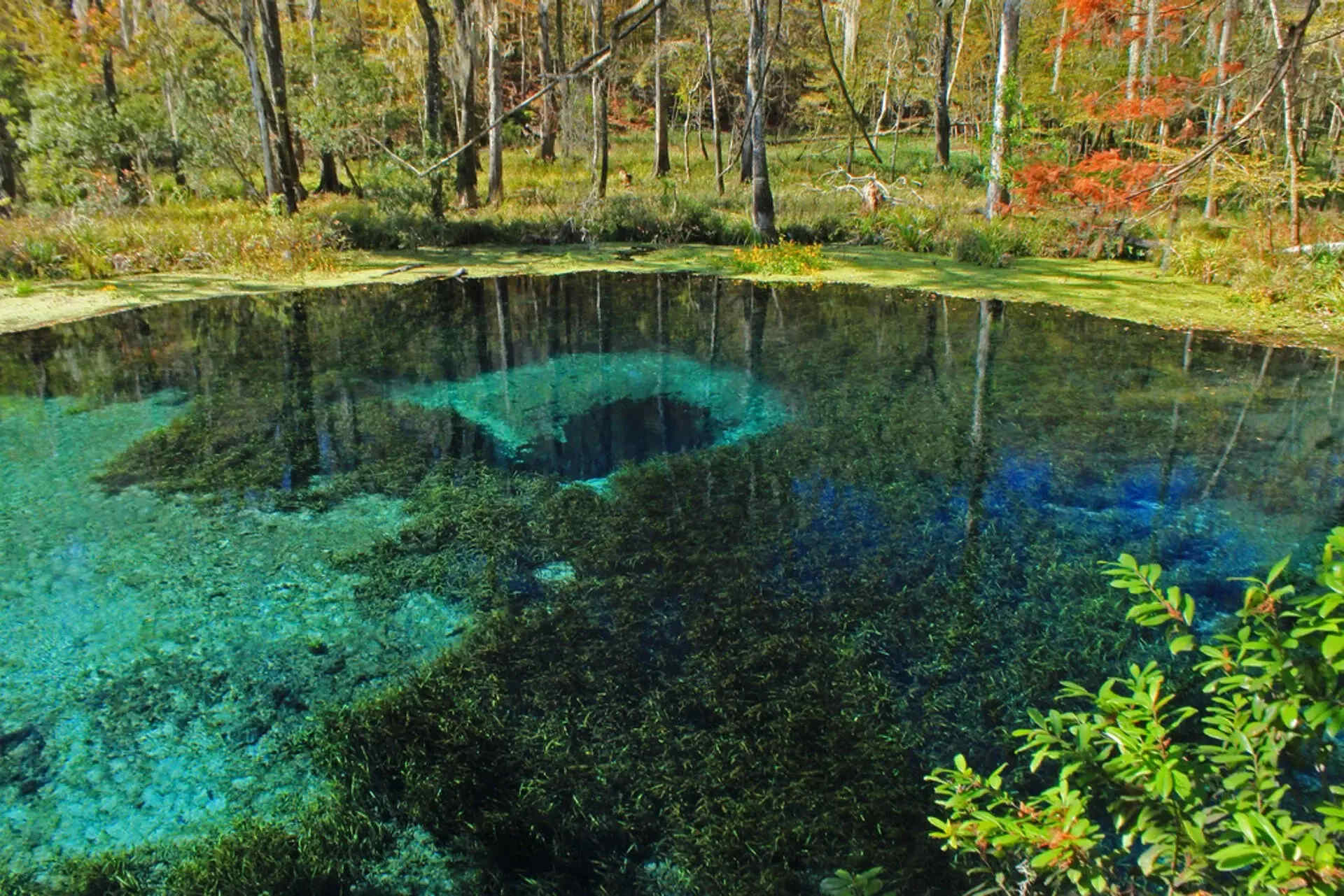 Hidden-Blue-Holes-Of-Florida8217s-Ichetucknee hidden-blue-holes-of-floridas-ichetucknee