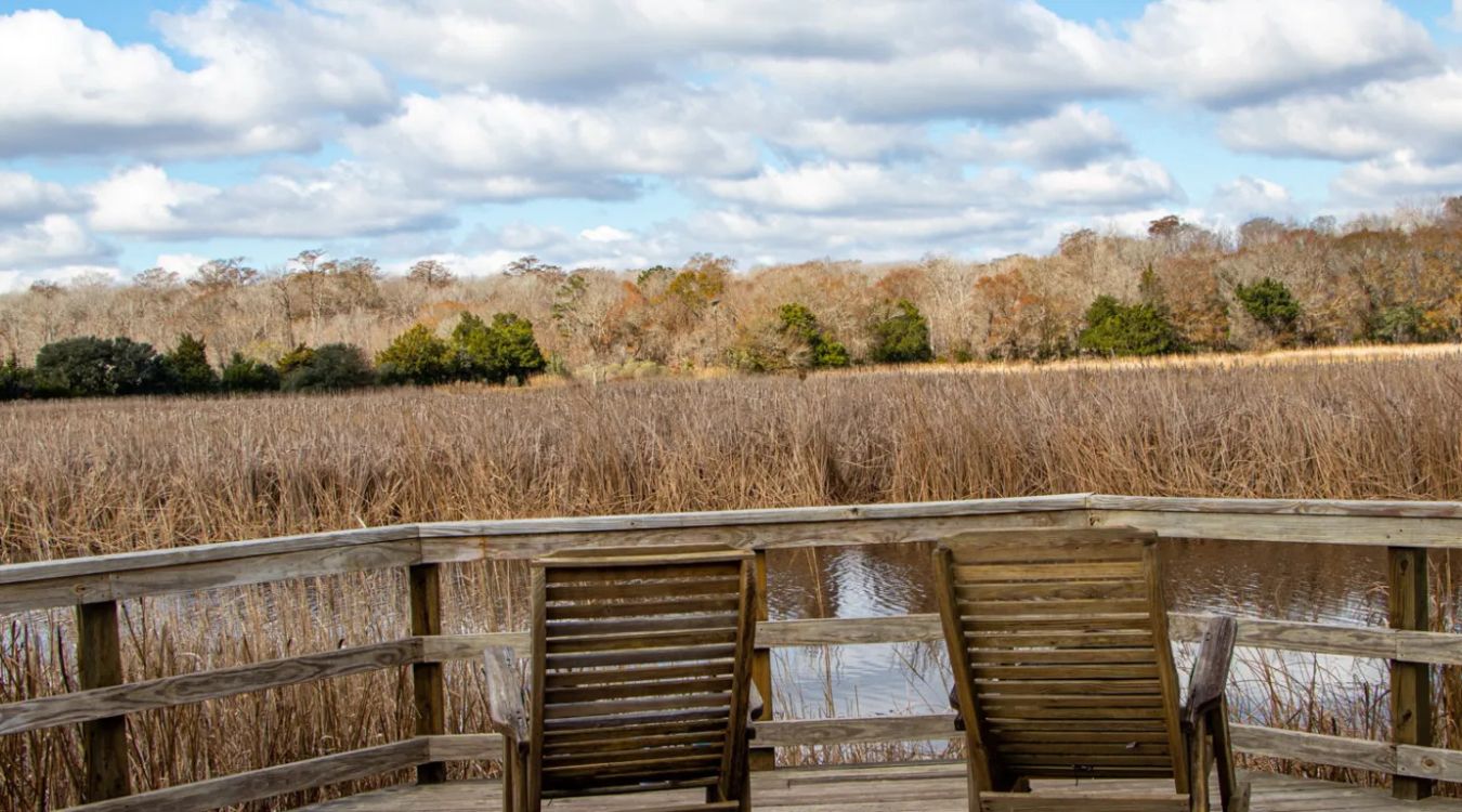 hidden-coastal-marshes-of-south-carolinas-caw-caw-interpretive-center