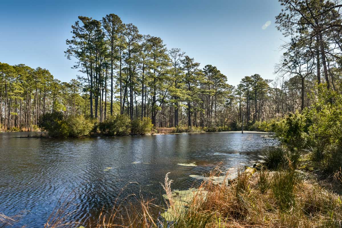 Hidden-Coastal-Tidal-Creeks-Of-South-Carolina8217s-ACE-Basin hidden-coastal-tidal-creeks-of-south-carolinas-ace-basin