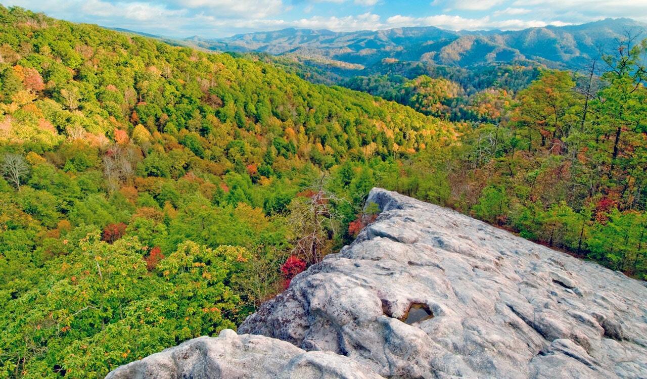 hidden-forest-hollows-in-kentuckys-blanton-forest