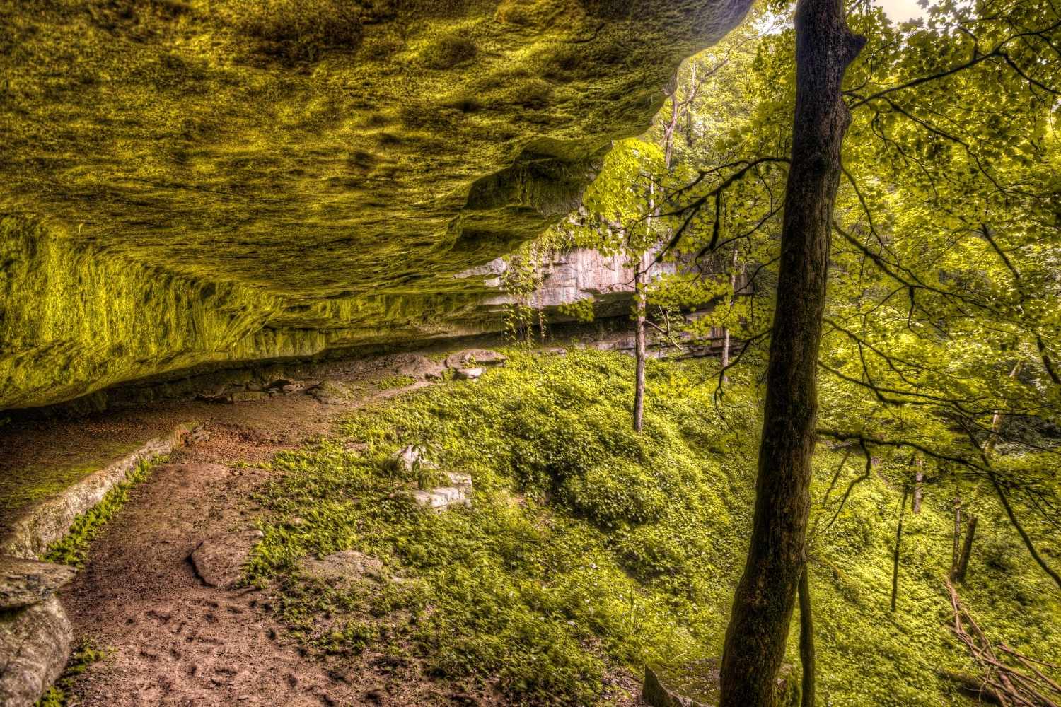 Hidden-Forest-Hollows-In-Kentucky8217s-Mammoth-Cave-Region hidden-forest-hollows-in-kentuckys-mammoth-cave-region