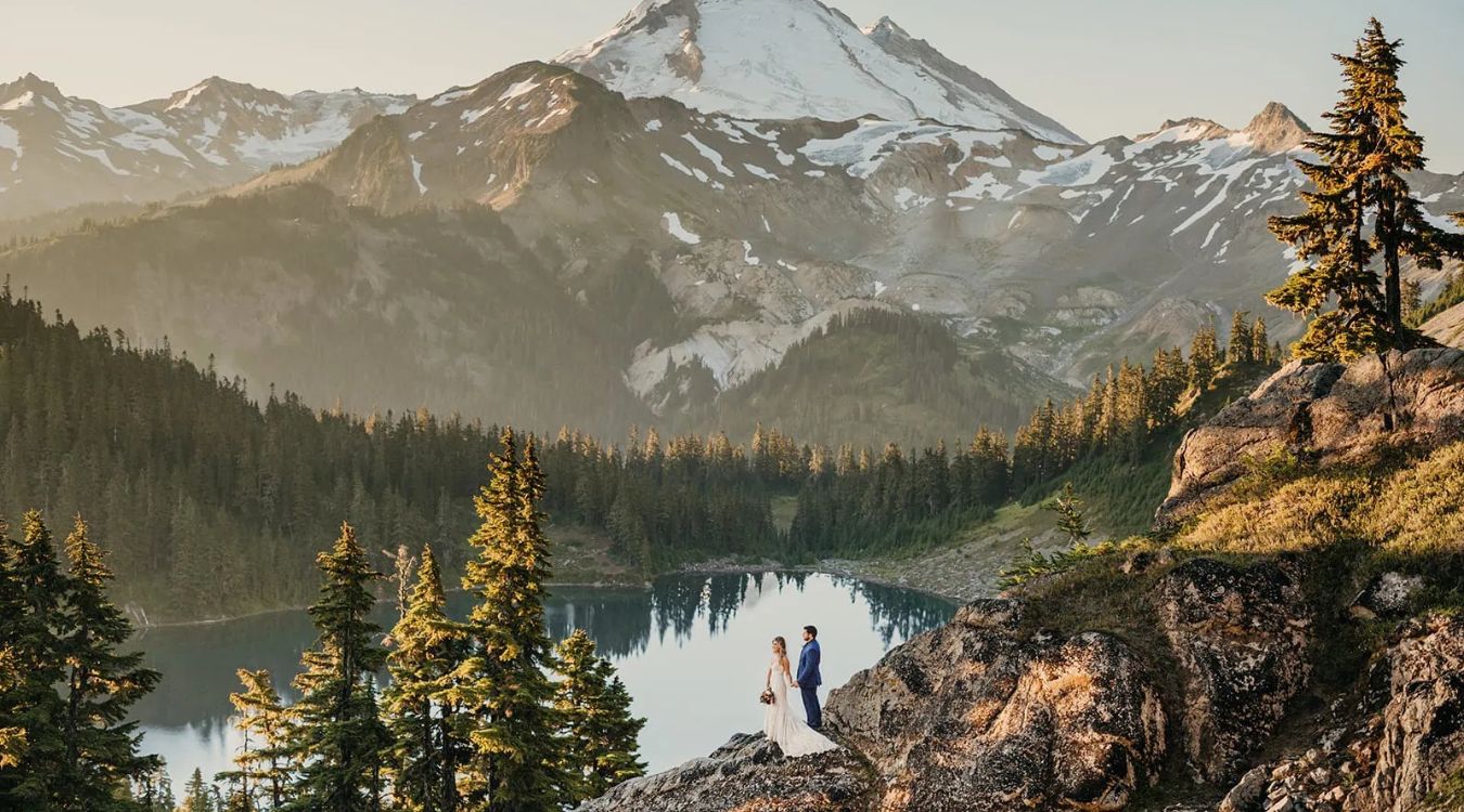 hidden-forest-meadows-of-mount-baker-in-washington