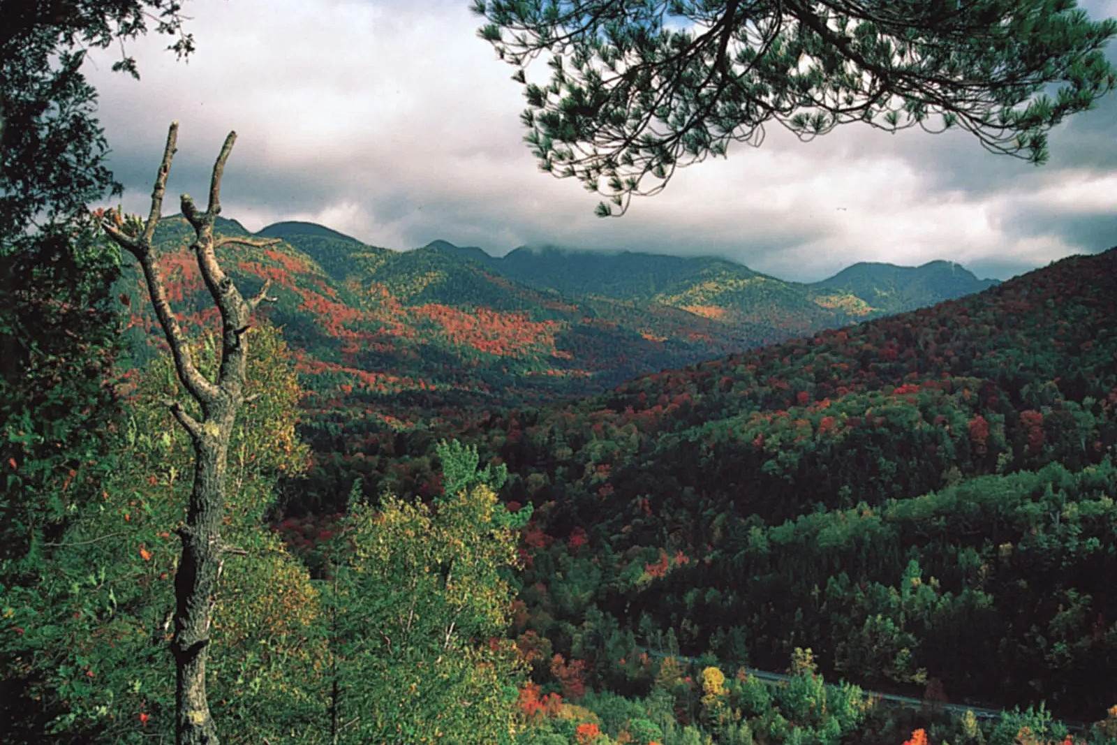 Hidden-Forest-Retreats-In-New-York8217s-Adirondacks hidden-forest-retreats-in-new-yorks-adirondacks