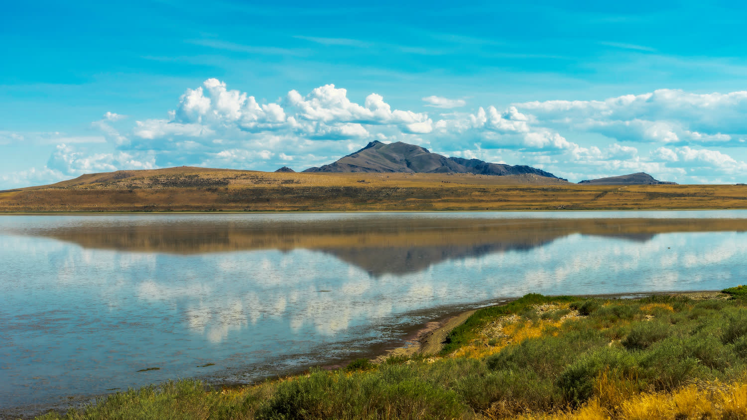 hidden-gems-of-antelope-island-state-park