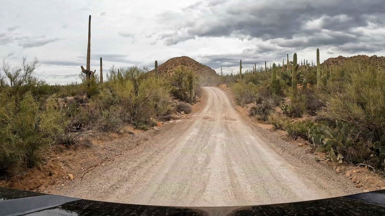 Hidden-Gems-Of-Arizona8217s-Saguaro-National-Park-Bajada-Loop hidden-gems-of-arizonas-saguaro-national-park-bajada-loop