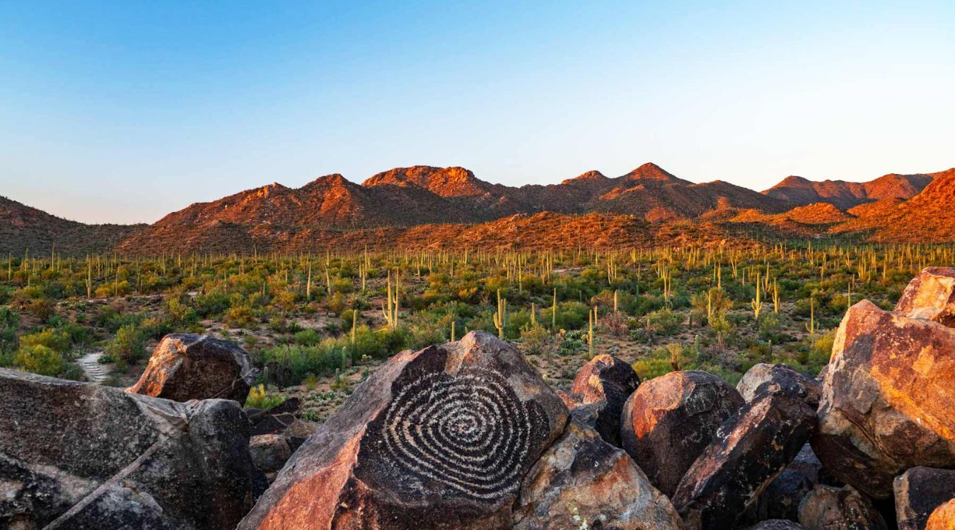hidden-gems-of-arizonas-saguaro-national-park-signal-hill