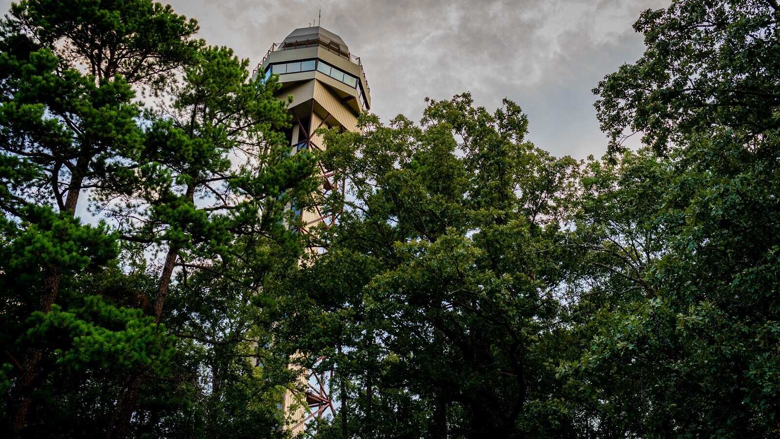 hidden-gems-of-arkansass-hot-springs-mountain-tower