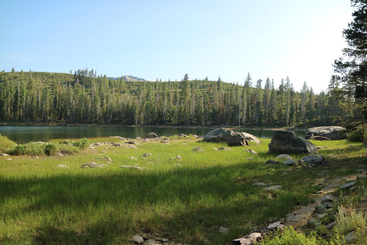 hidden-gems-of-californias-lost-sierra-fishing-streams