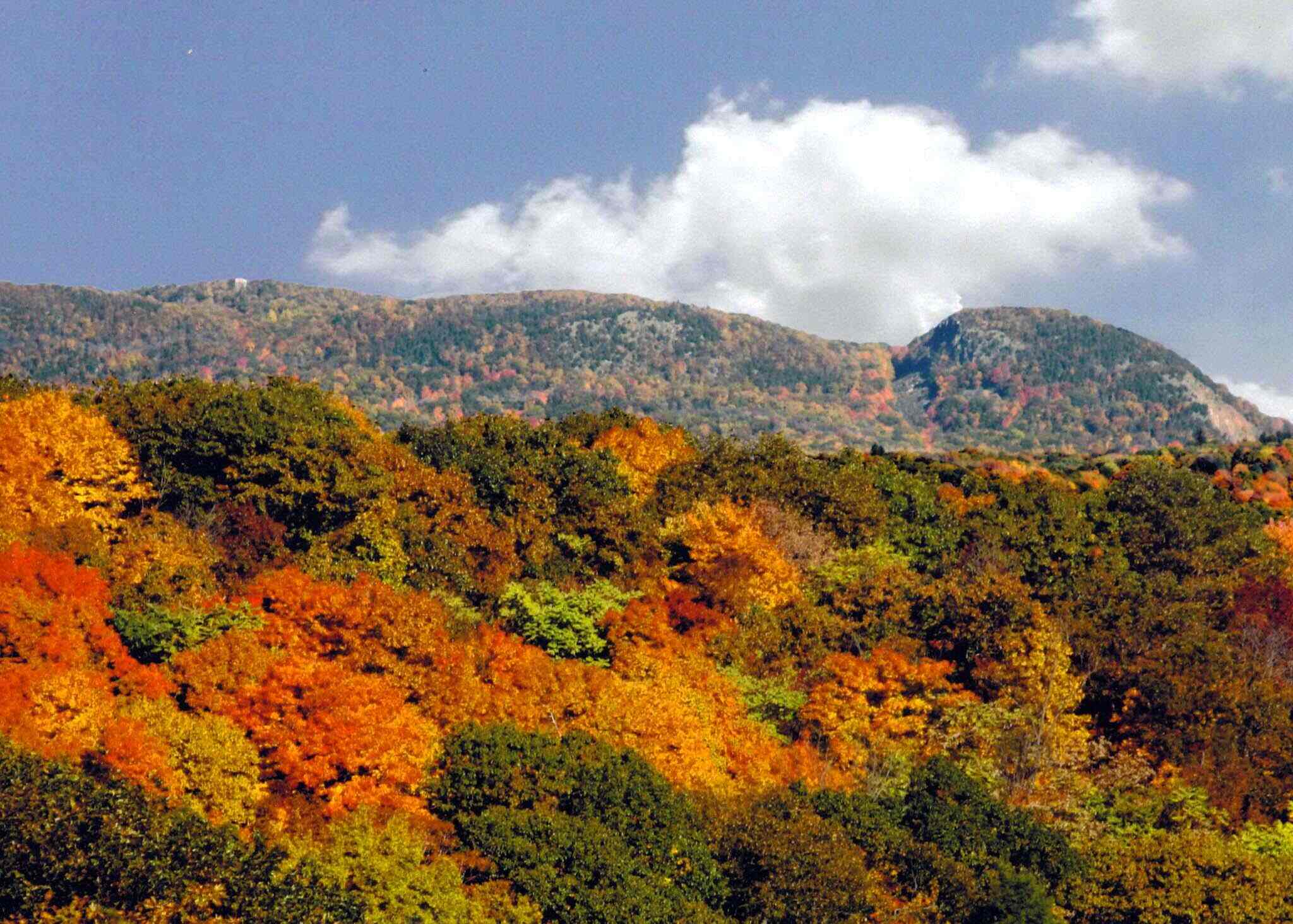 hidden-gems-of-connecticuts-sleeping-giant-state-park-tower-trail