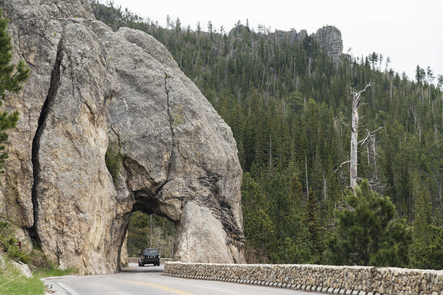 hidden-gems-of-custer-state-parks-needles-highway