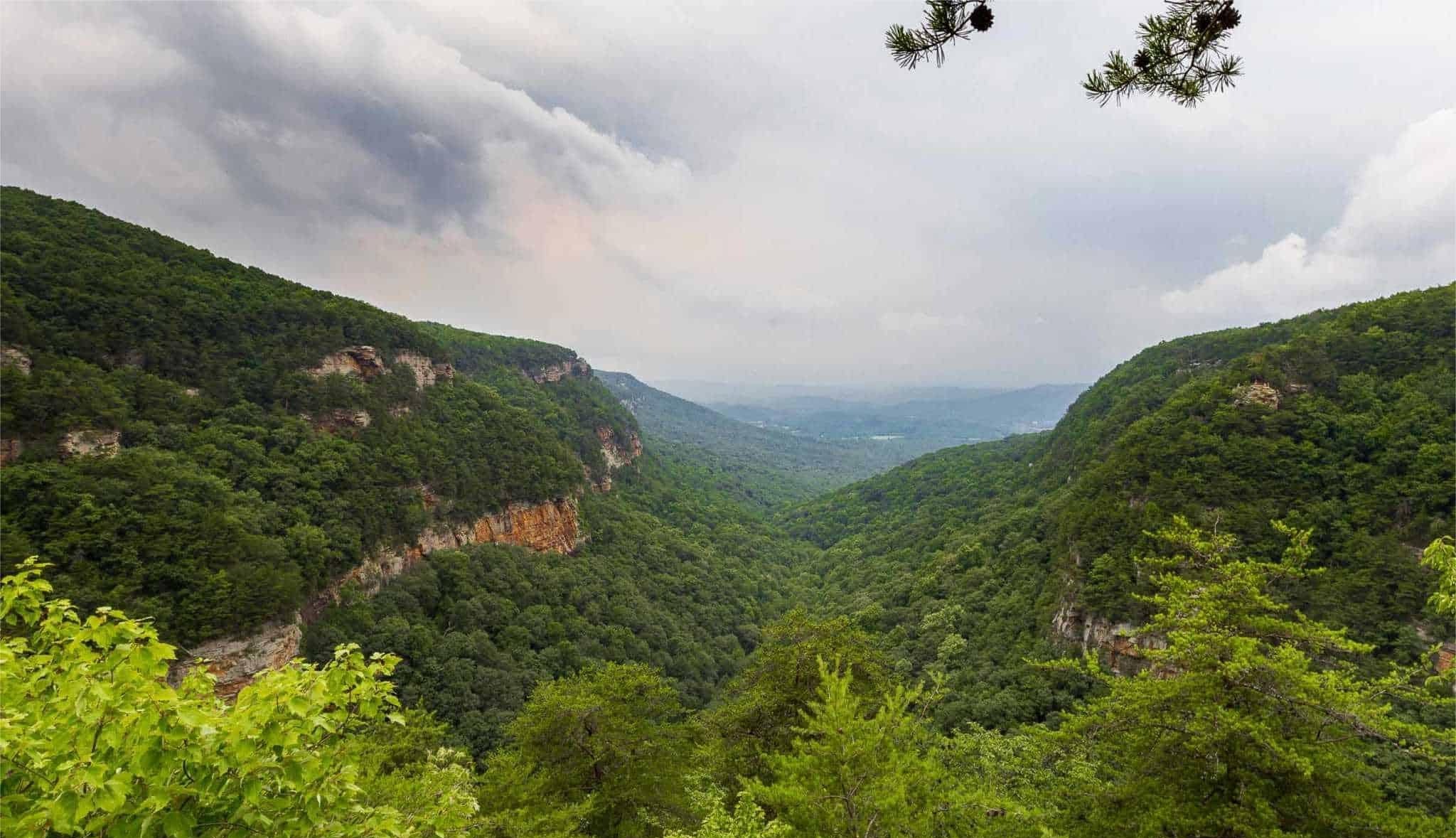 hidden-gems-of-georgias-cloudland-canyon-waterfalls-trail
