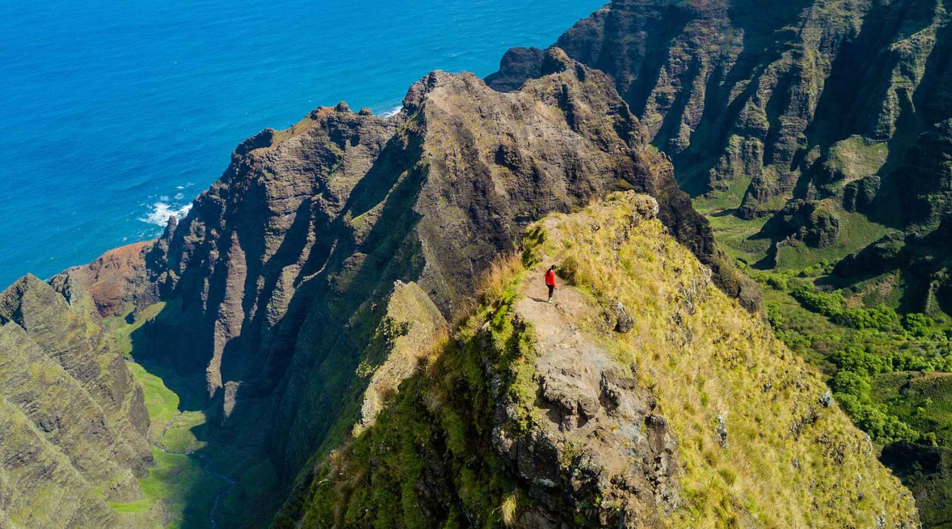 hidden-gems-of-hawaiis-kokee-state-park-awaawapuhi-trail