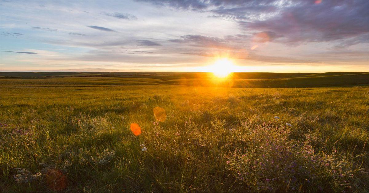 hidden-gems-of-kansass-tallgrass-prairie-national-preserve-fox-creek-trail