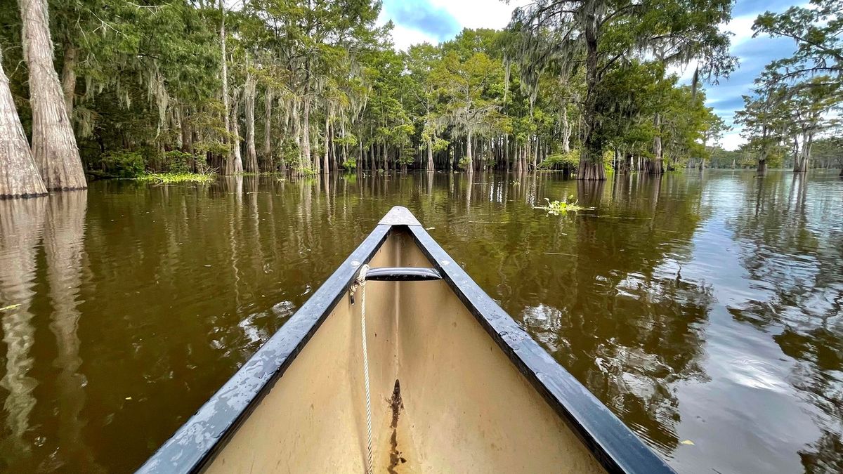 hidden-gems-of-louisianas-atchafalaya-national-wildlife-refuge